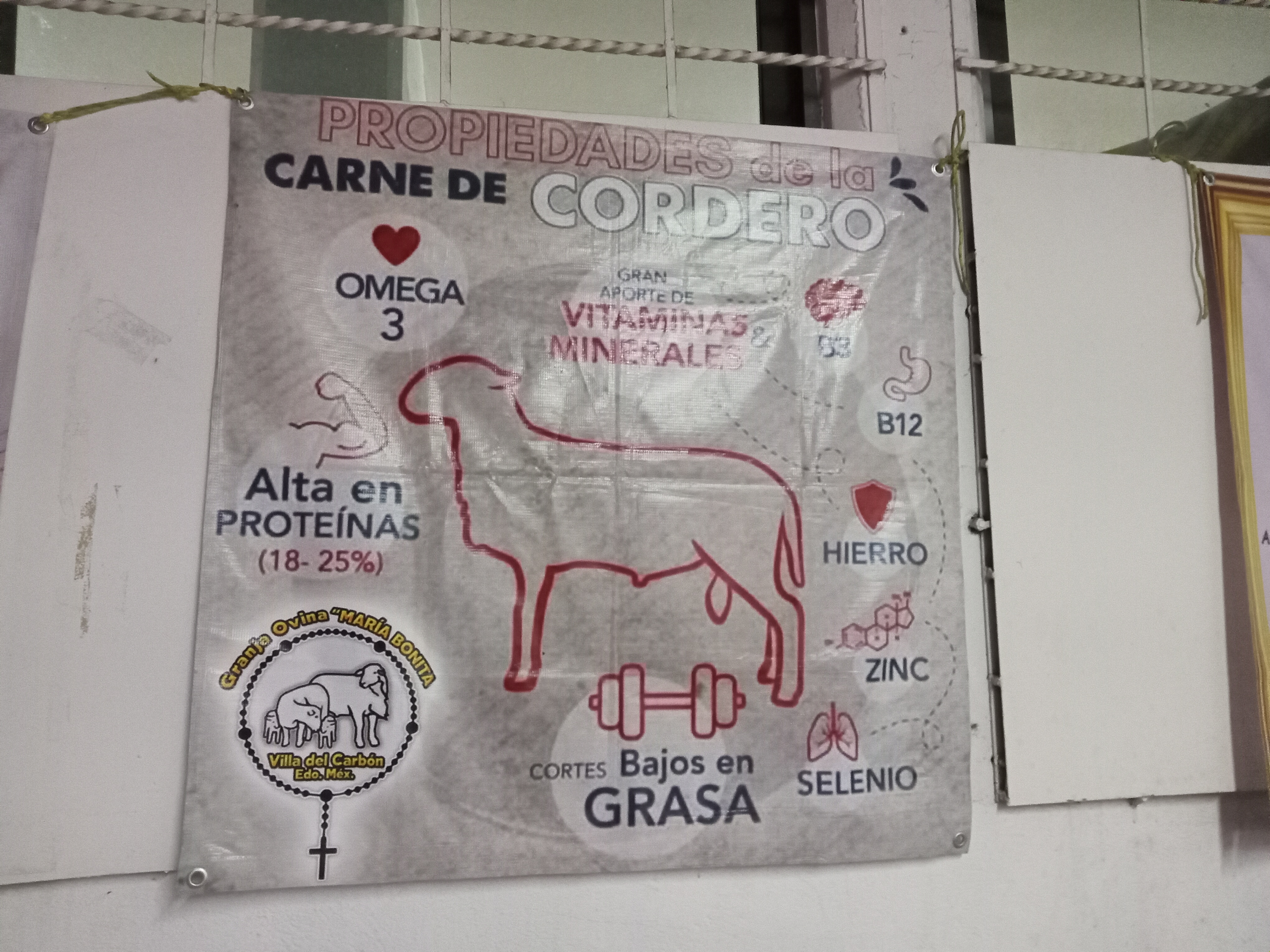 Hamburguesas de Cordero María Bonita image 5