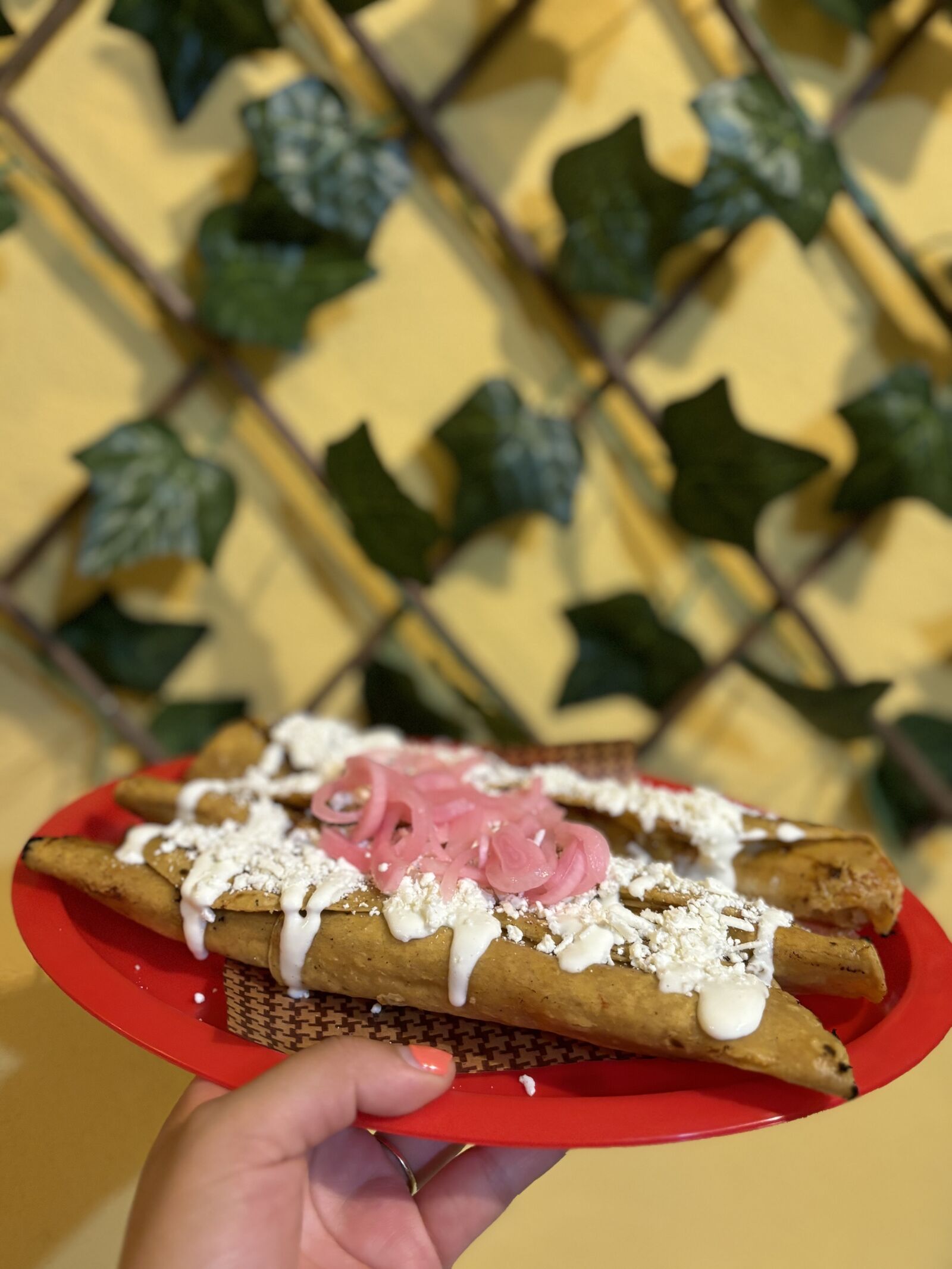 TAKOCHINITA image 1