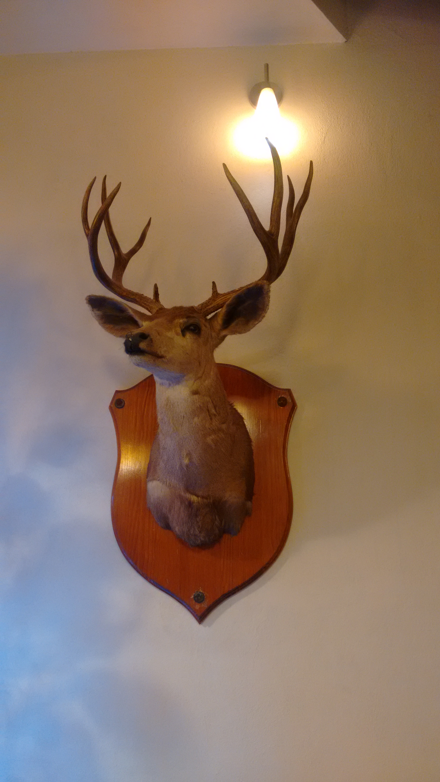 Titinas restaurant y ensaladas image 7