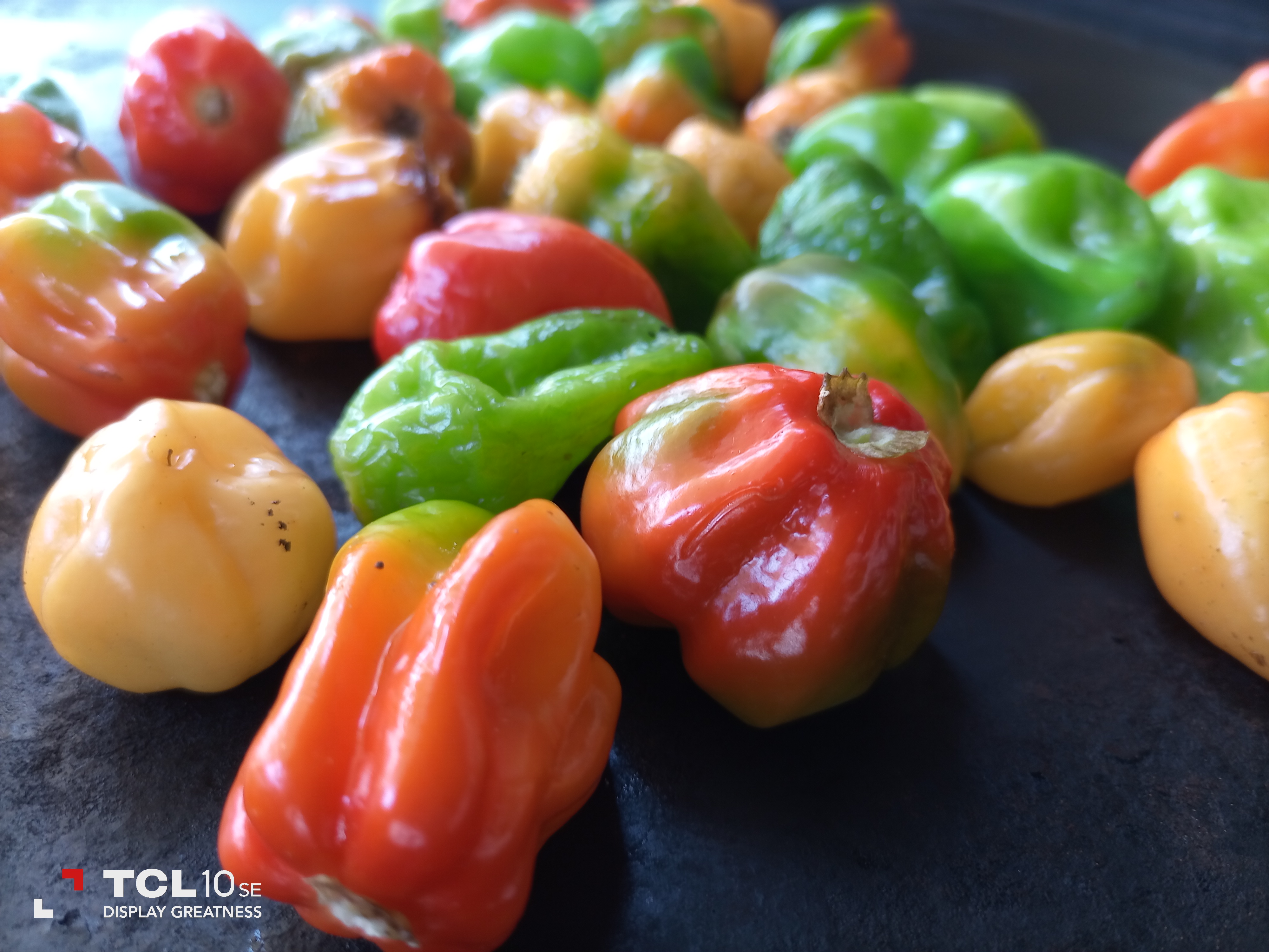 La parrilla de Don Bernal image 2