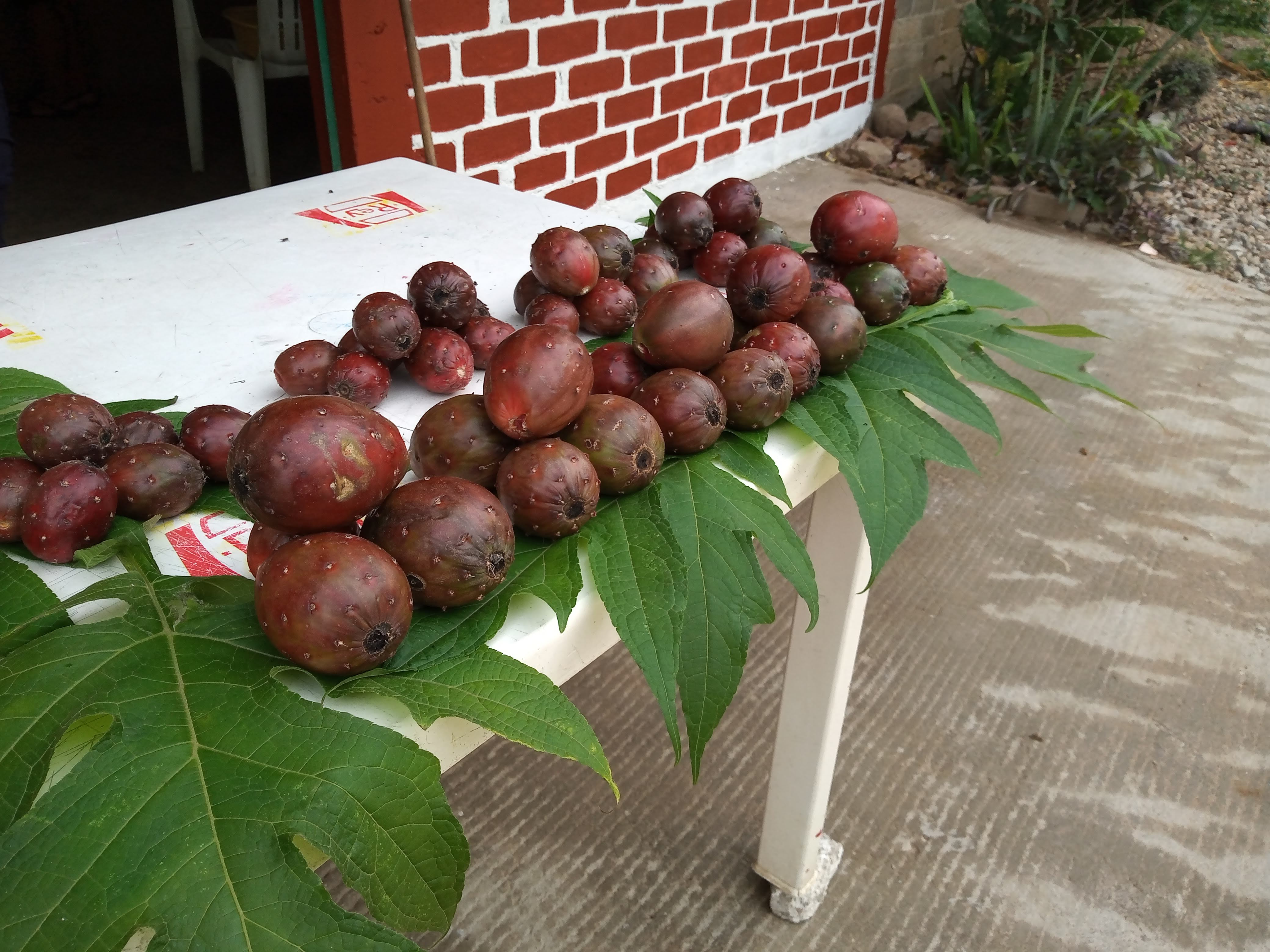 El buen sazón image 3