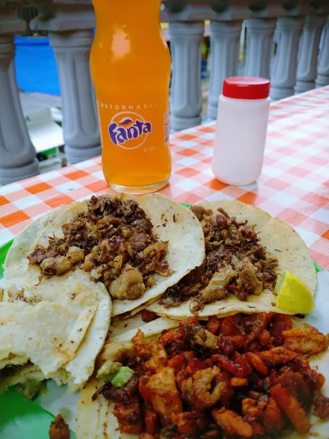Taquería LOS PLEBES image 4