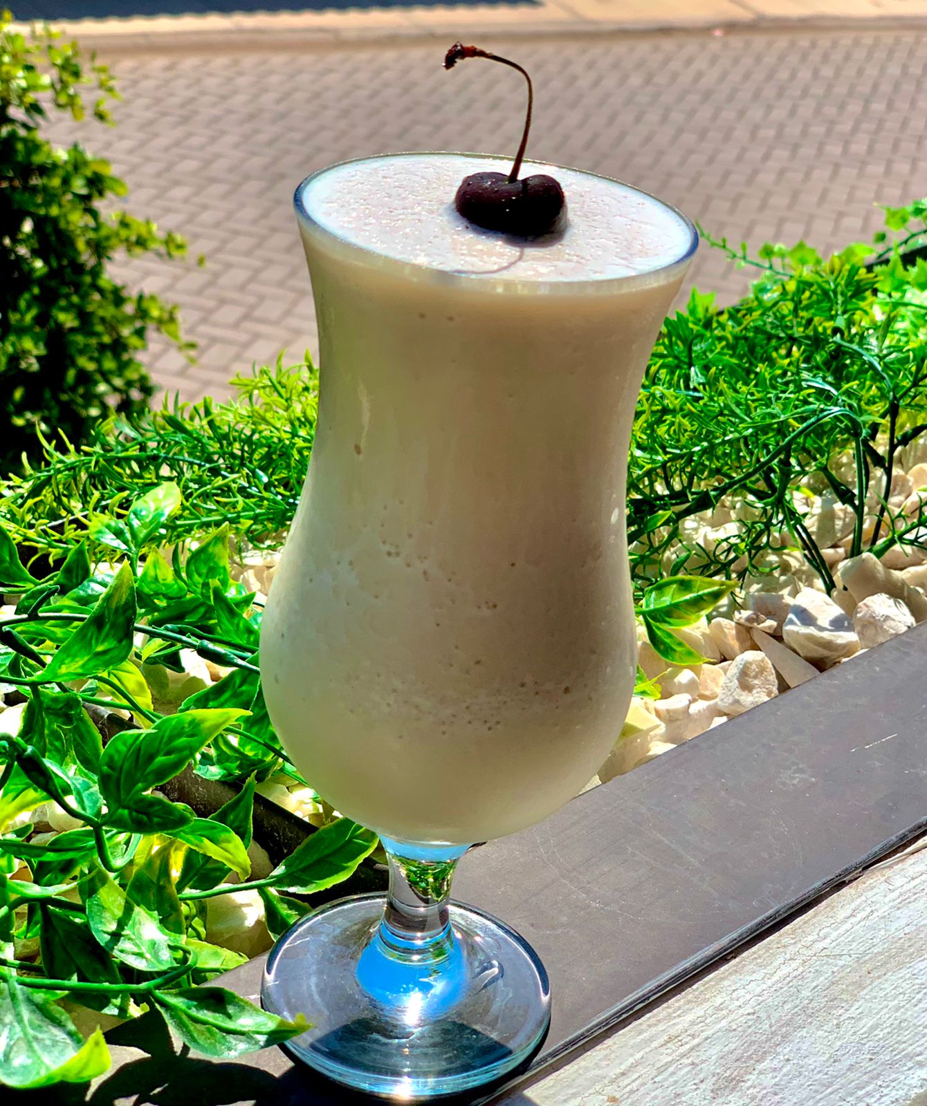 El guamúchilero image 5