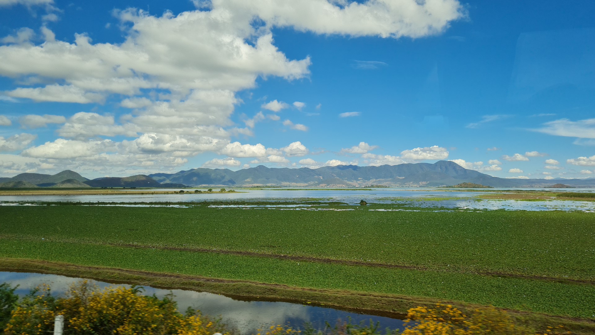 Pizza y Alitas la Estación image 7