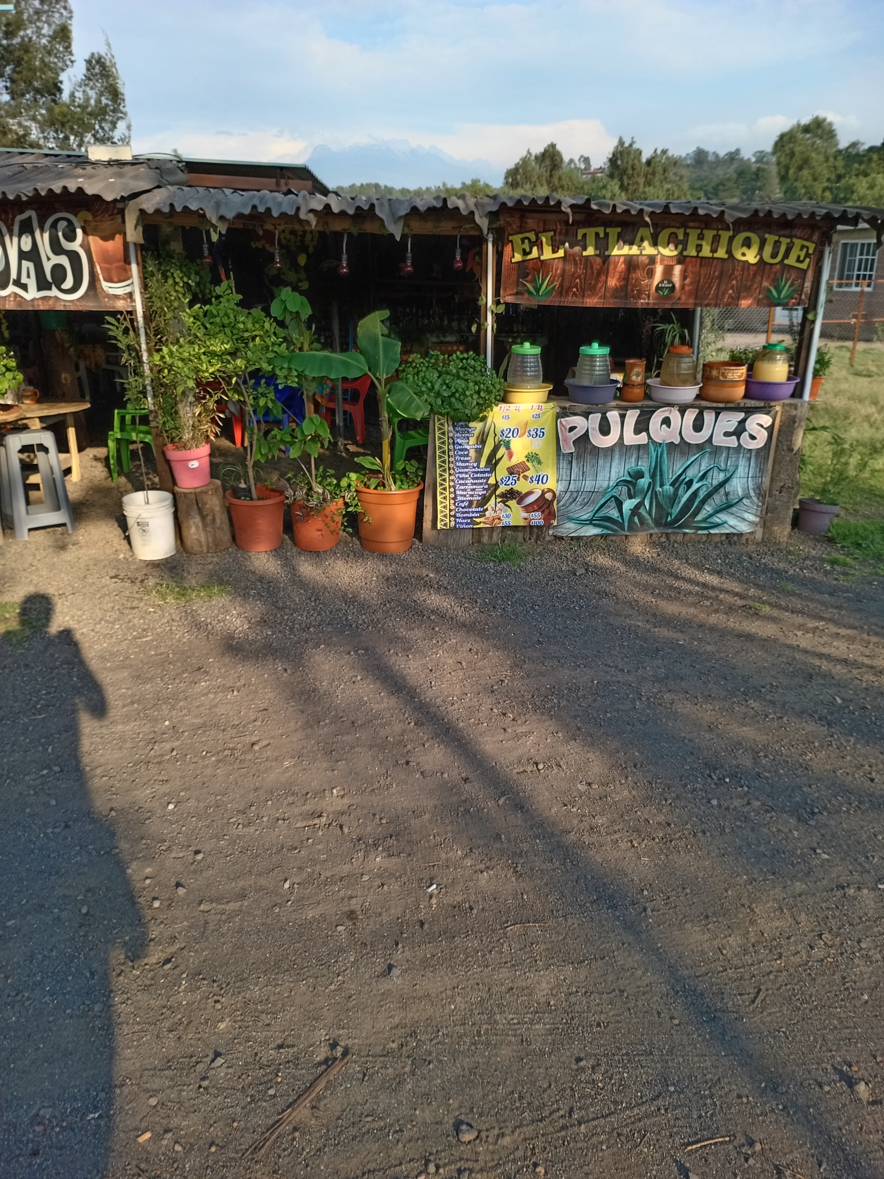 Pulques El Tlachique image 10