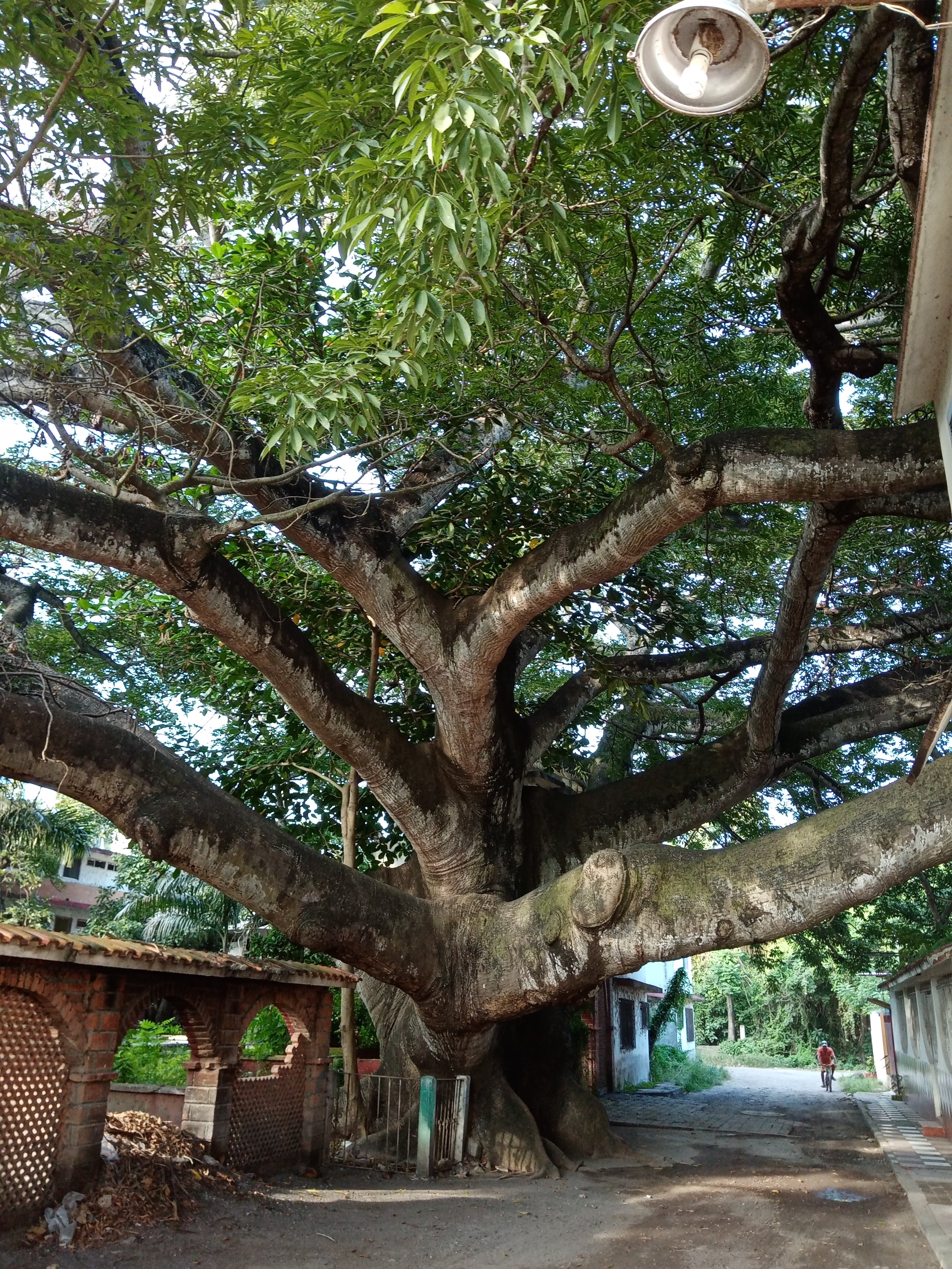 Las Delicias Marinas image 3