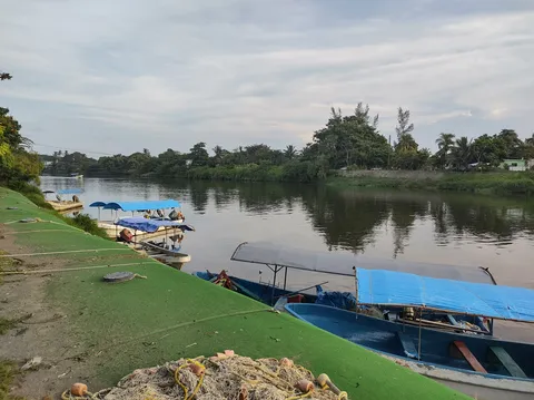 Las Delicias Marinas image 6