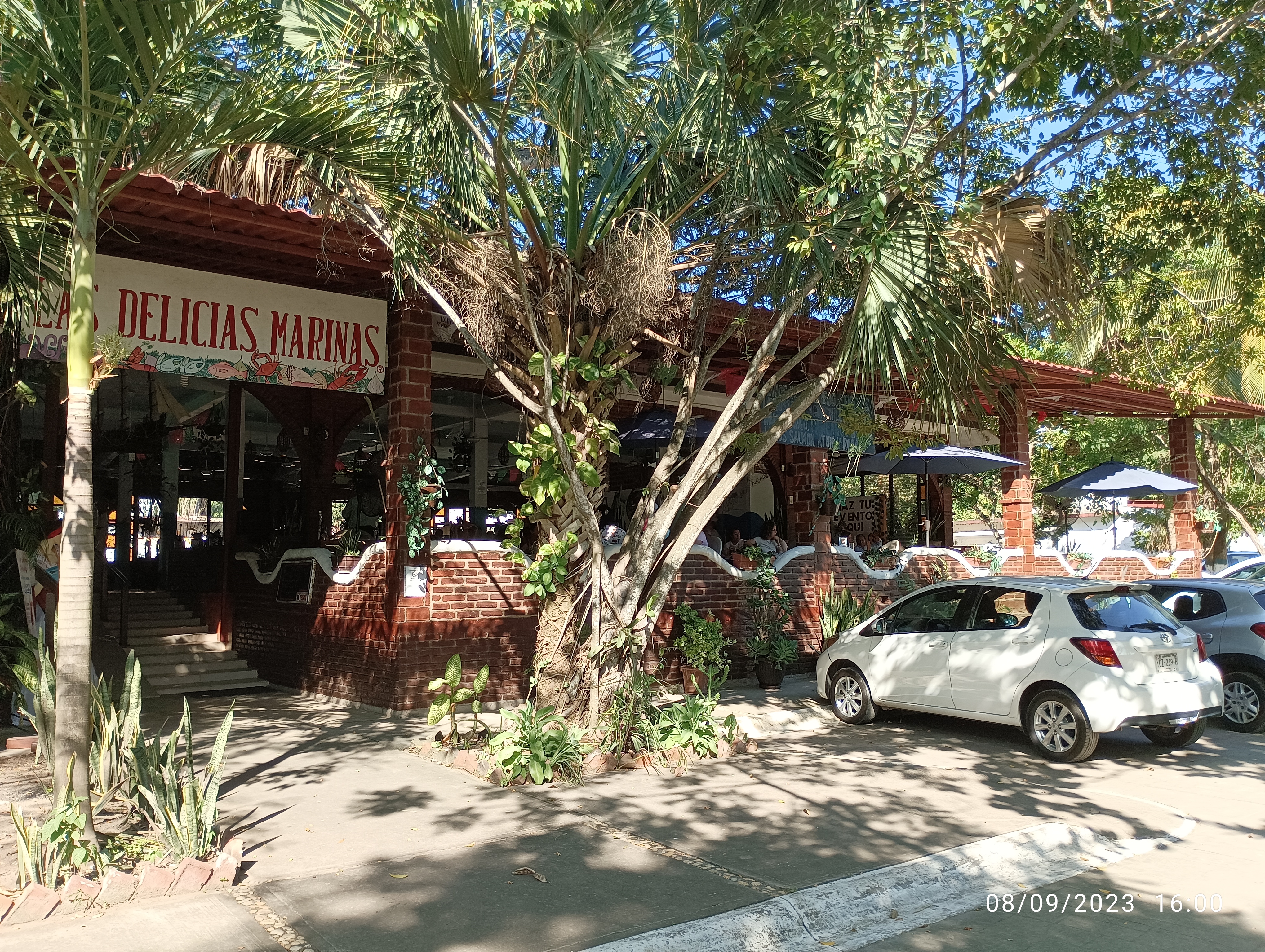 Las Delicias Marinas image 10