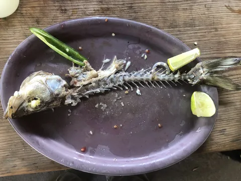 BARBACOA "LOS BORREGOS" SALMORAL image 5