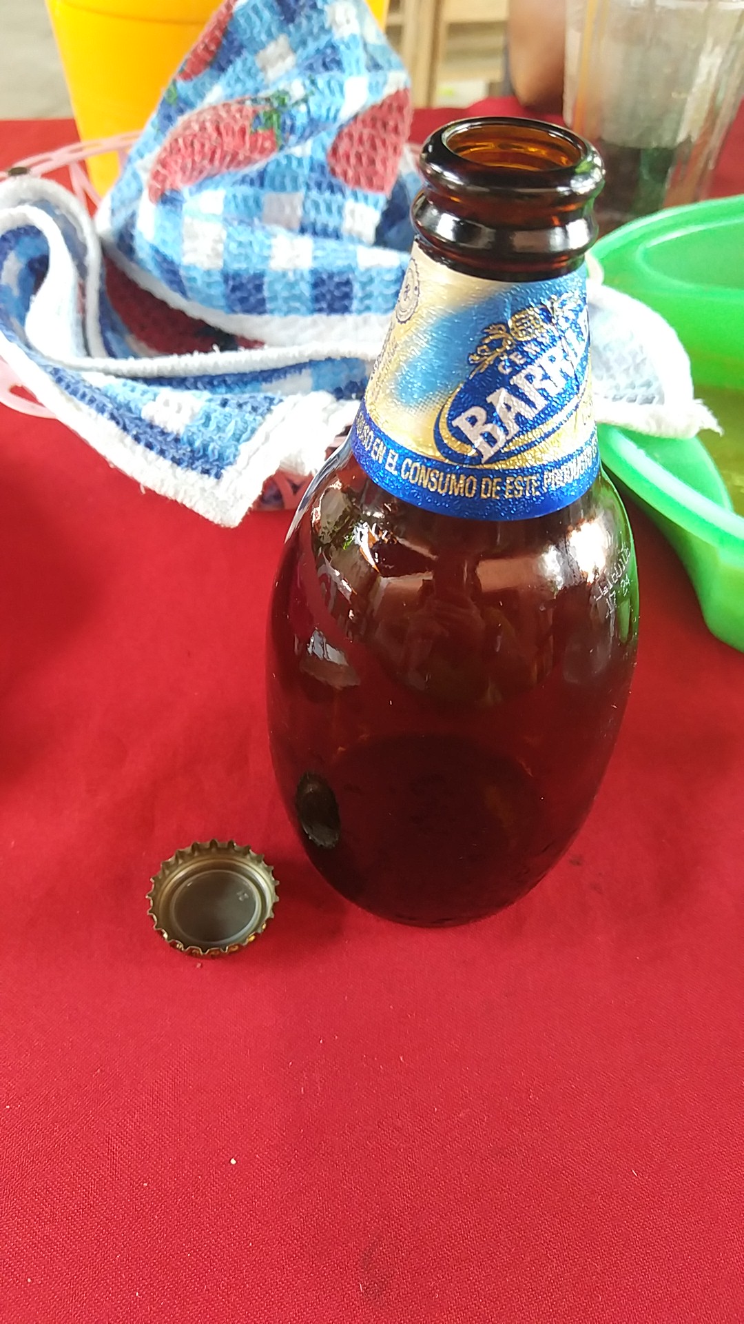 BARBACOA "LOS BORREGOS" SALMORAL image 10