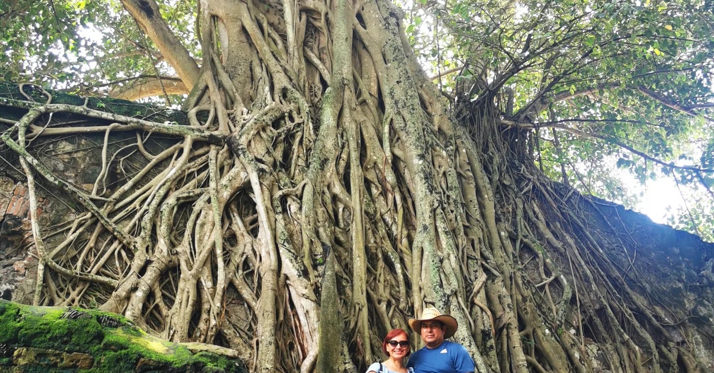 María Félix image 9