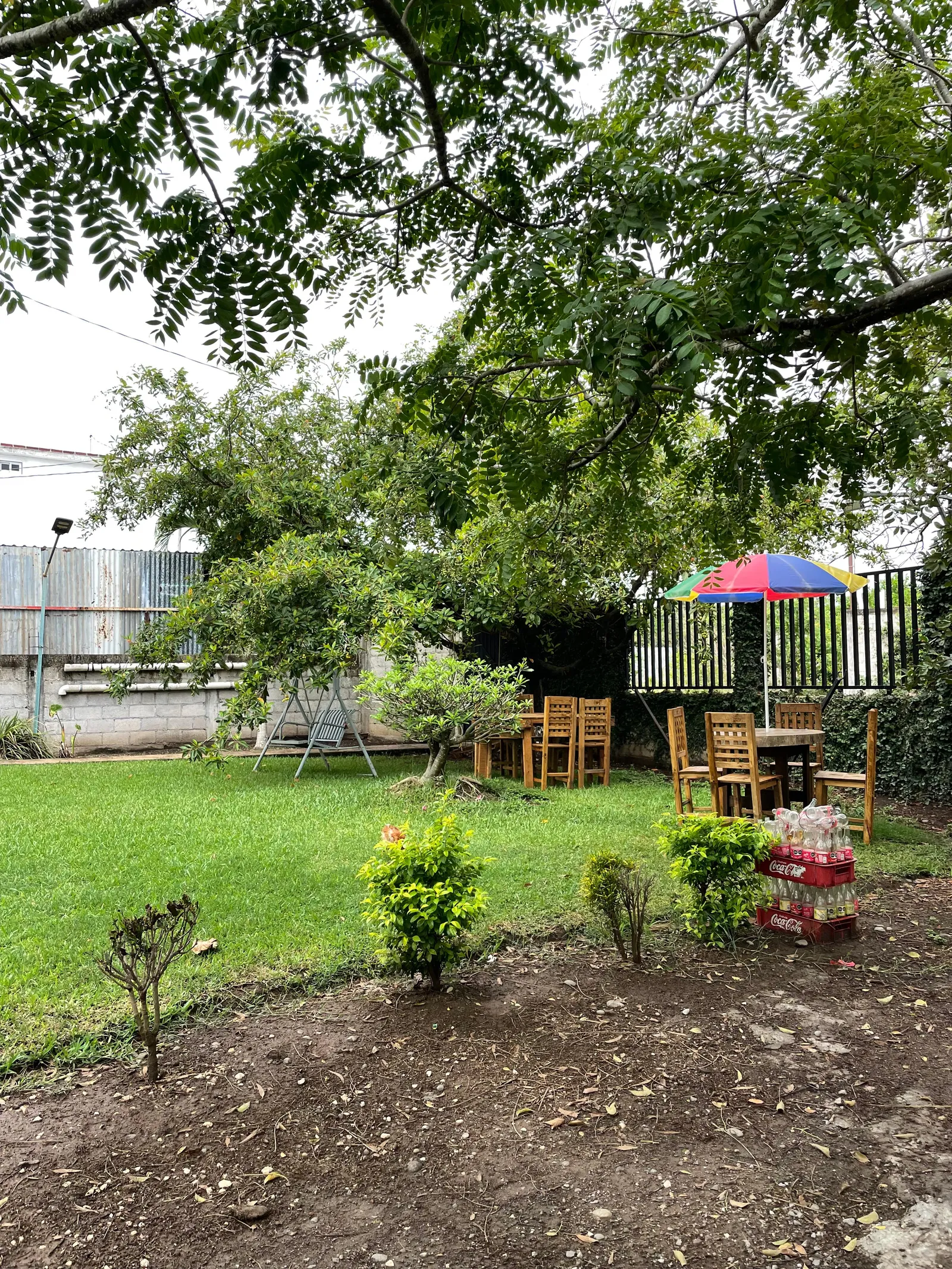 Linko - Sazón Huasteco image 5