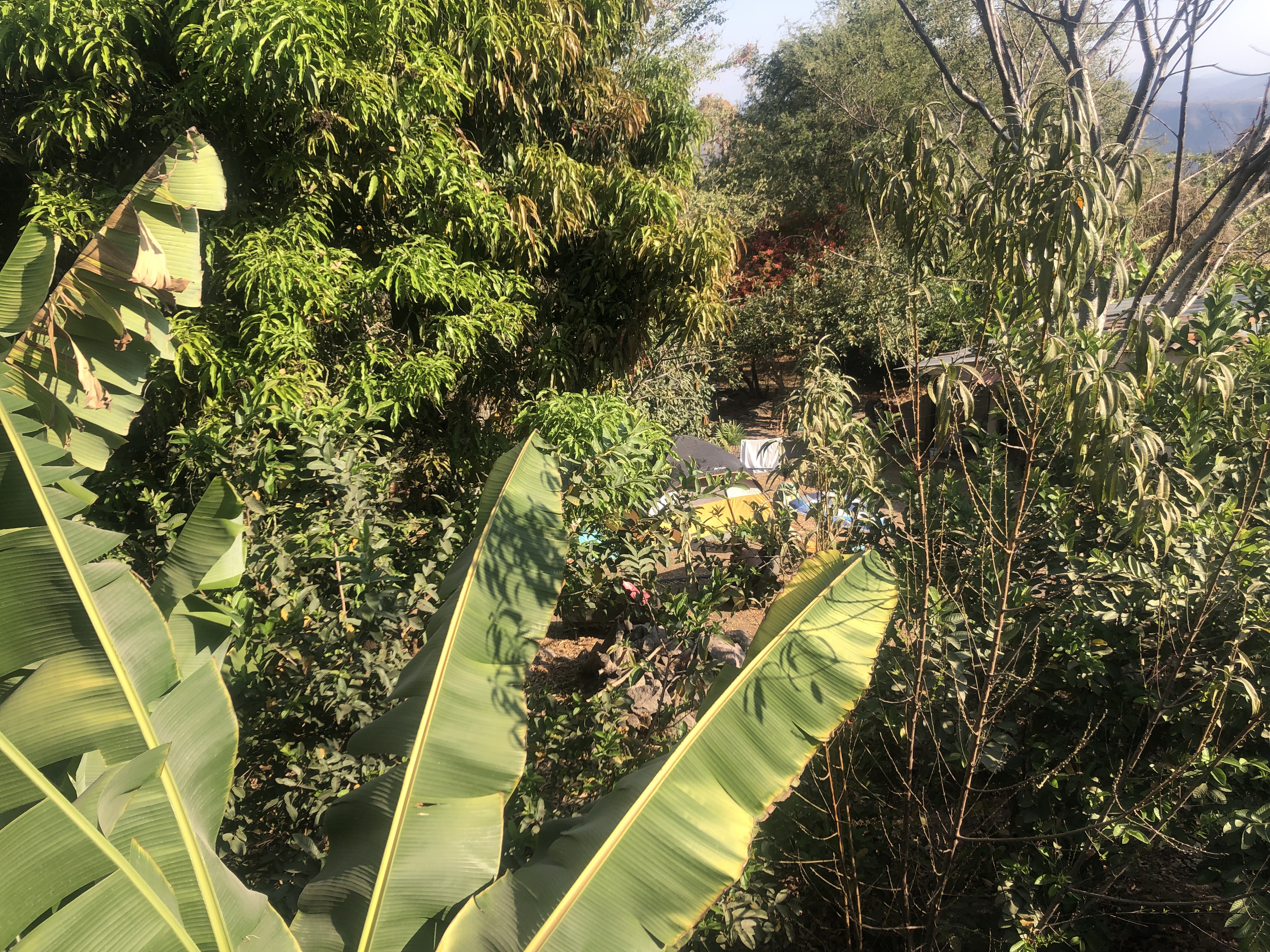 La Terraza Pizzas & Hamburguesas image 2