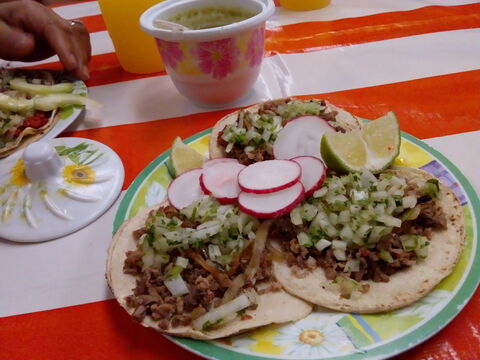 Taqueria Rosita image 5