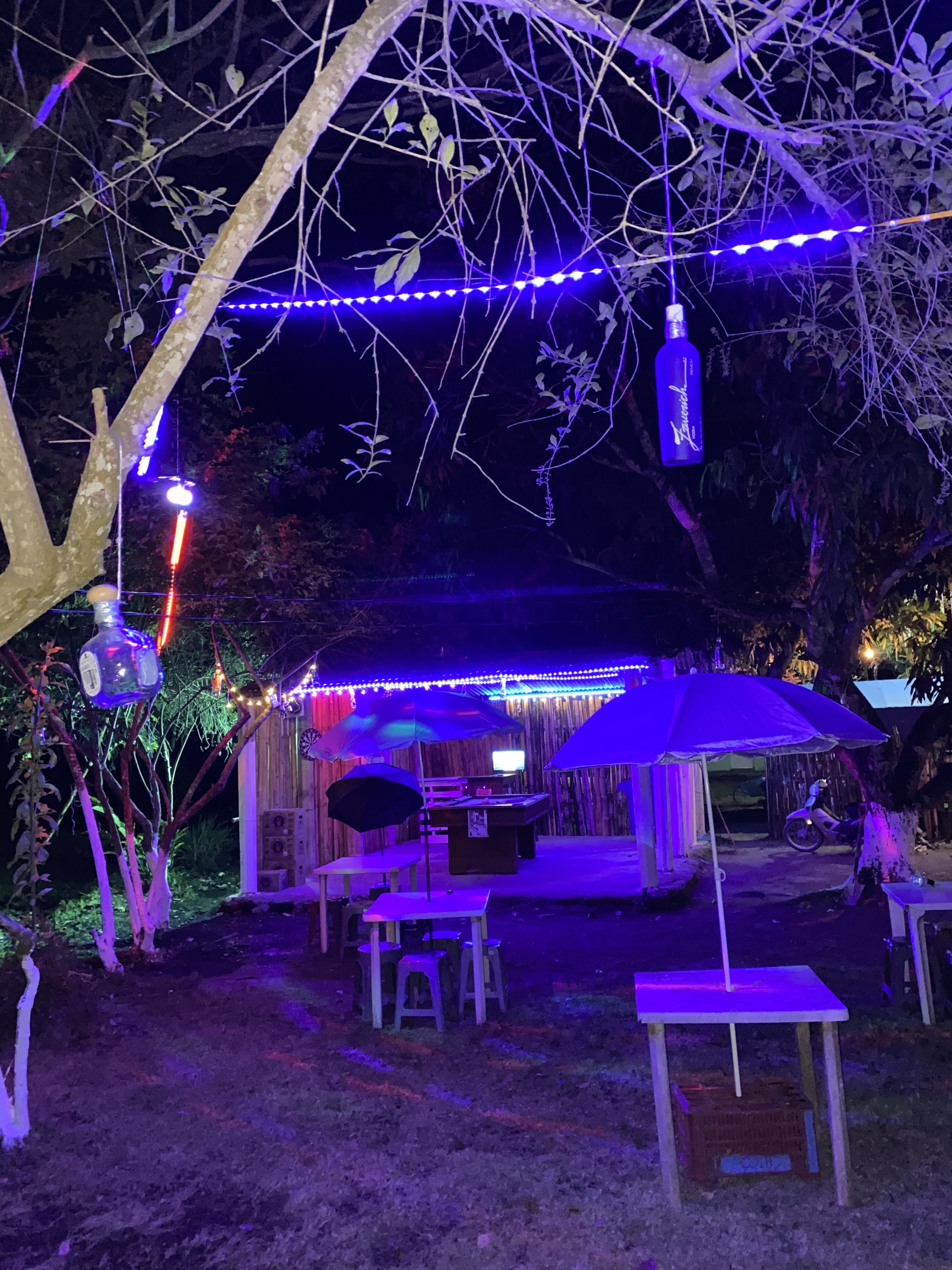 EL GATO DE NOCHE image 2