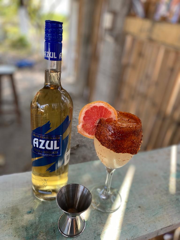 EL GATO DE NOCHE image 4