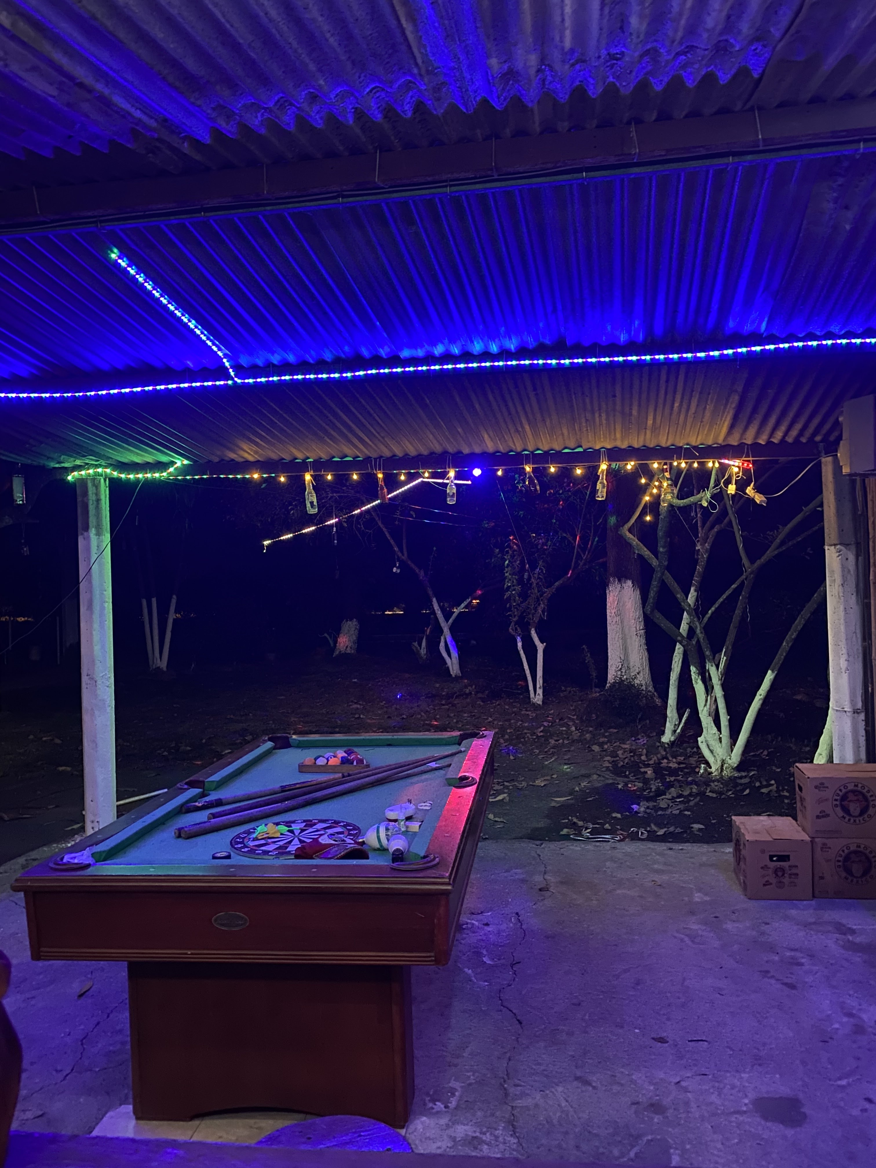 EL GATO DE NOCHE image 7