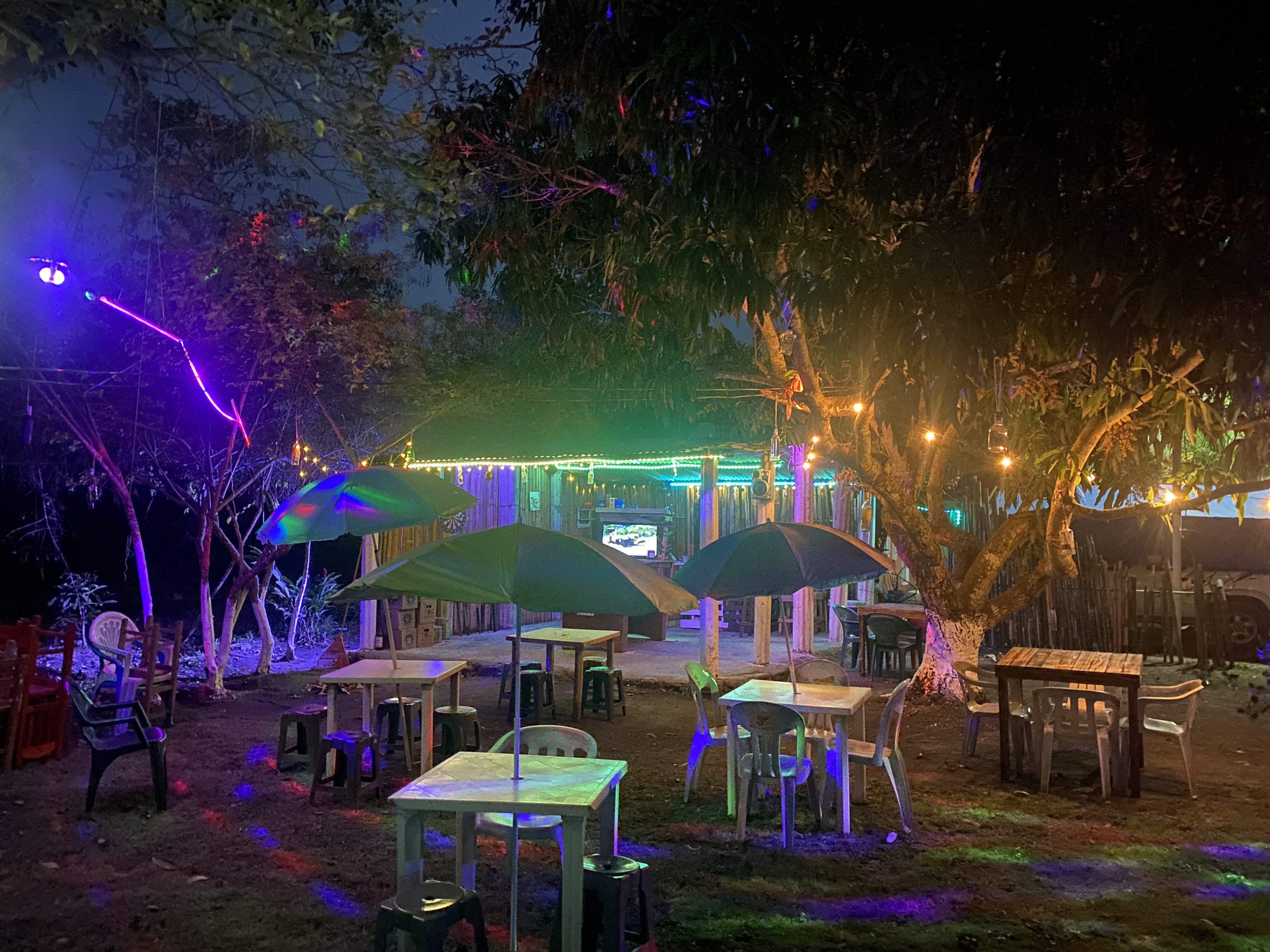 EL GATO DE NOCHE image 8