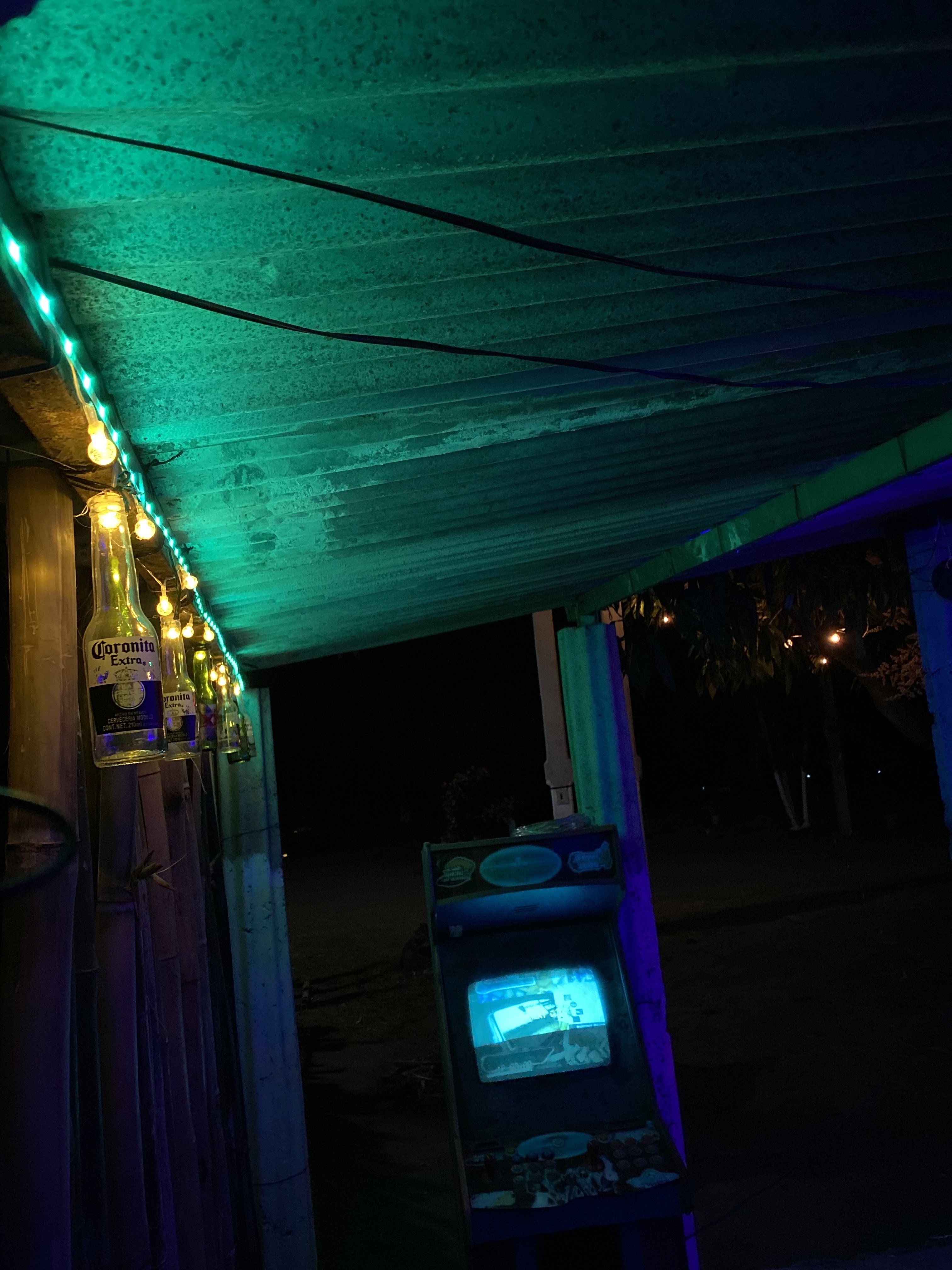 EL GATO DE NOCHE image 9