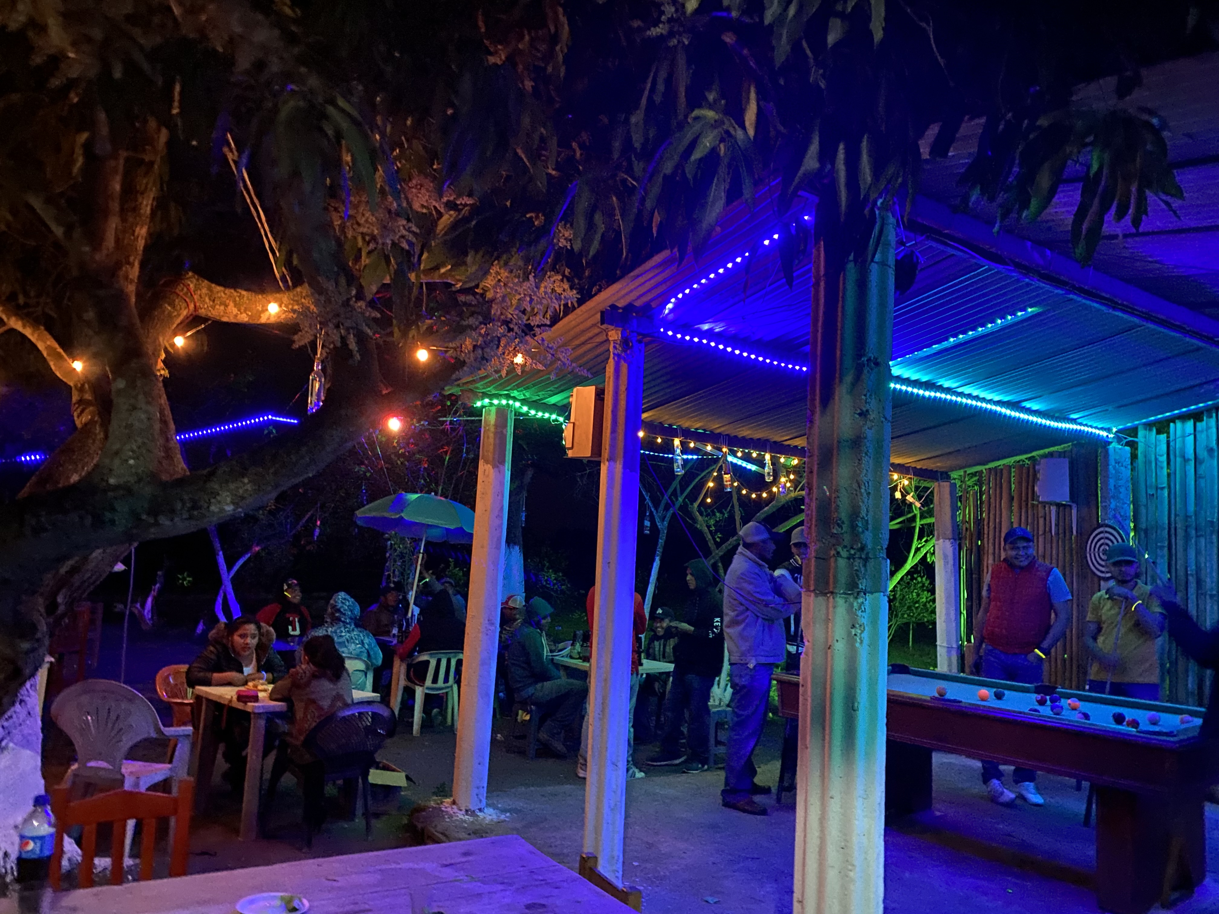 EL GATO DE NOCHE image 10