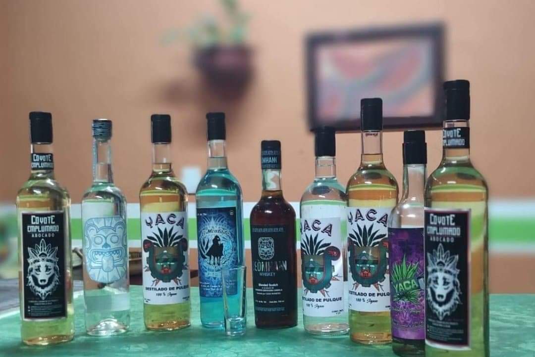 CARNES ASADAS SILVA RAMIREZ image 2