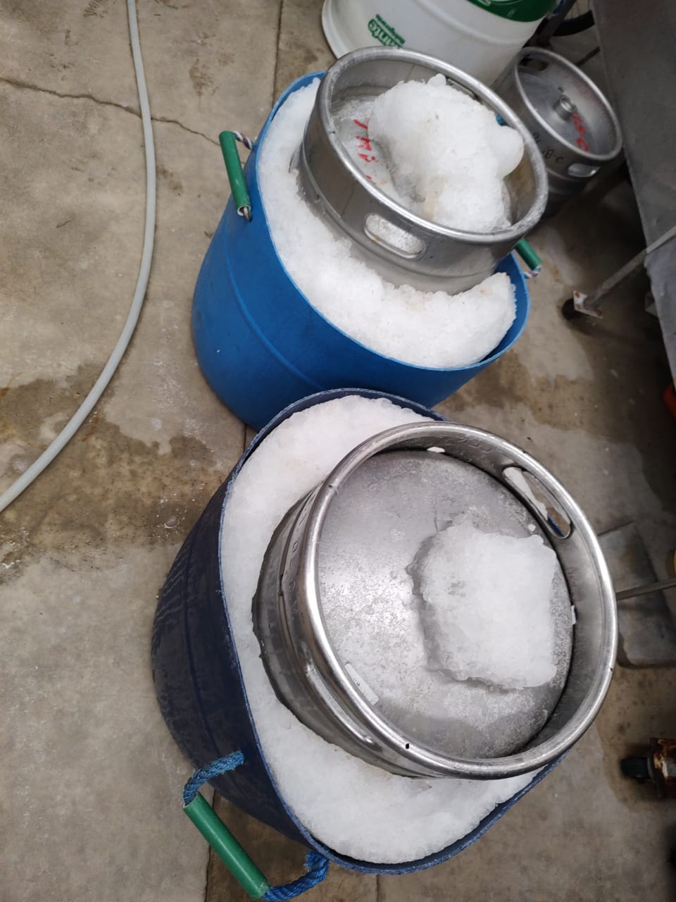 CARNES ASADAS SILVA RAMIREZ image 5