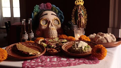 Mestizo image 2