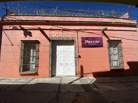 Mestizo image 3