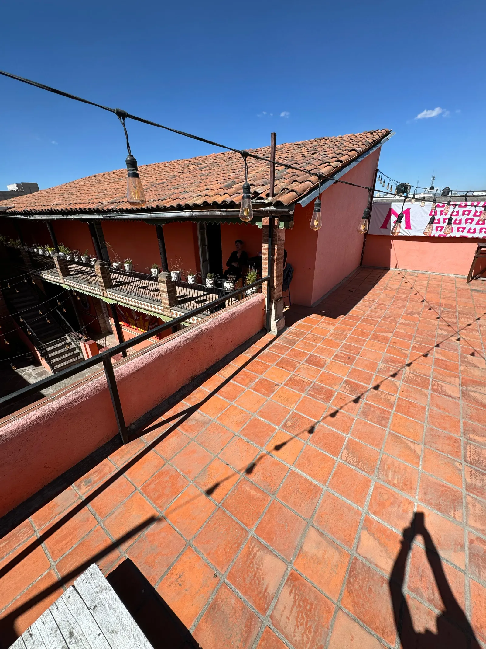 Mestizo image 7