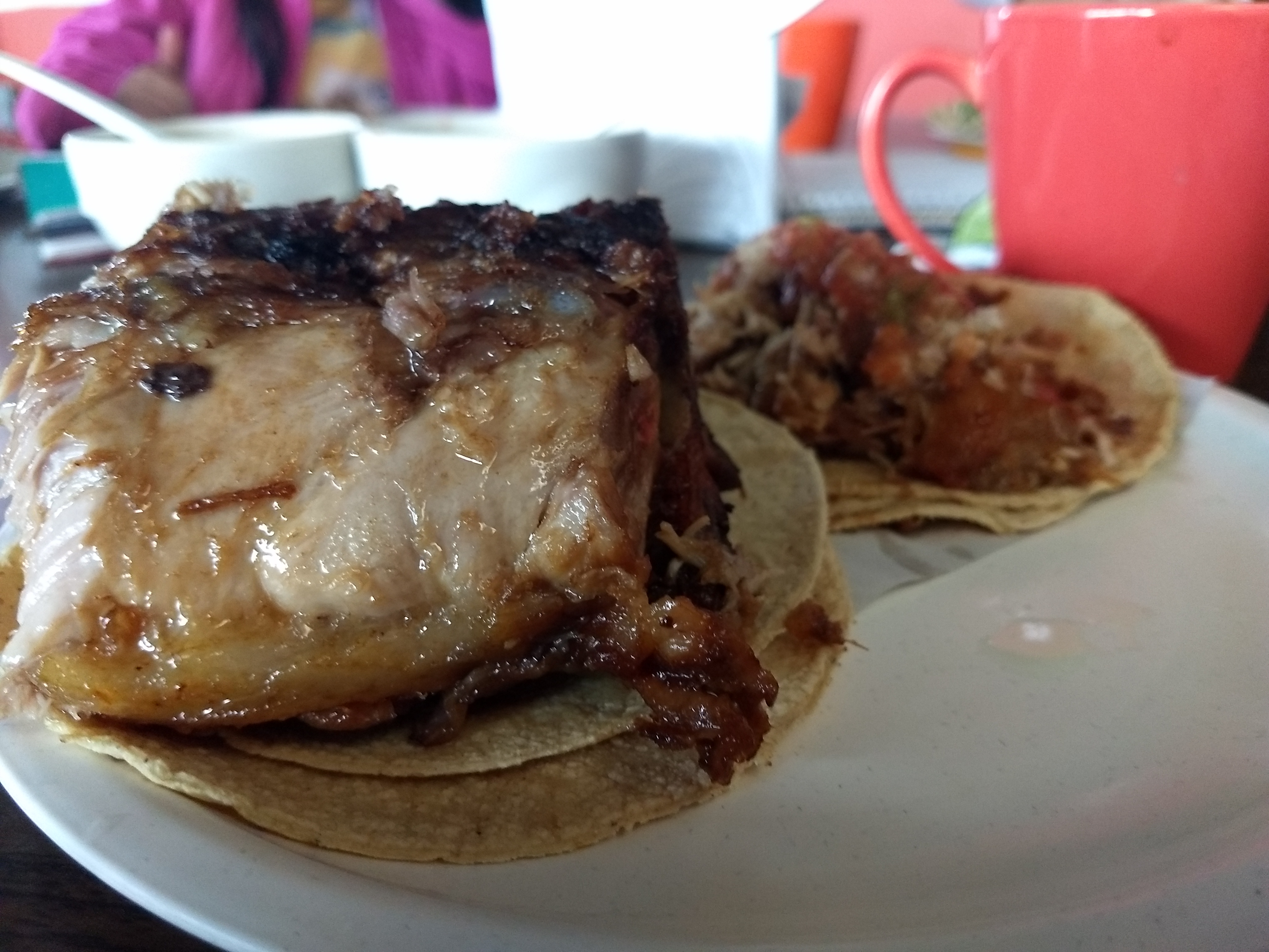 CARNITAS LAURO image 5