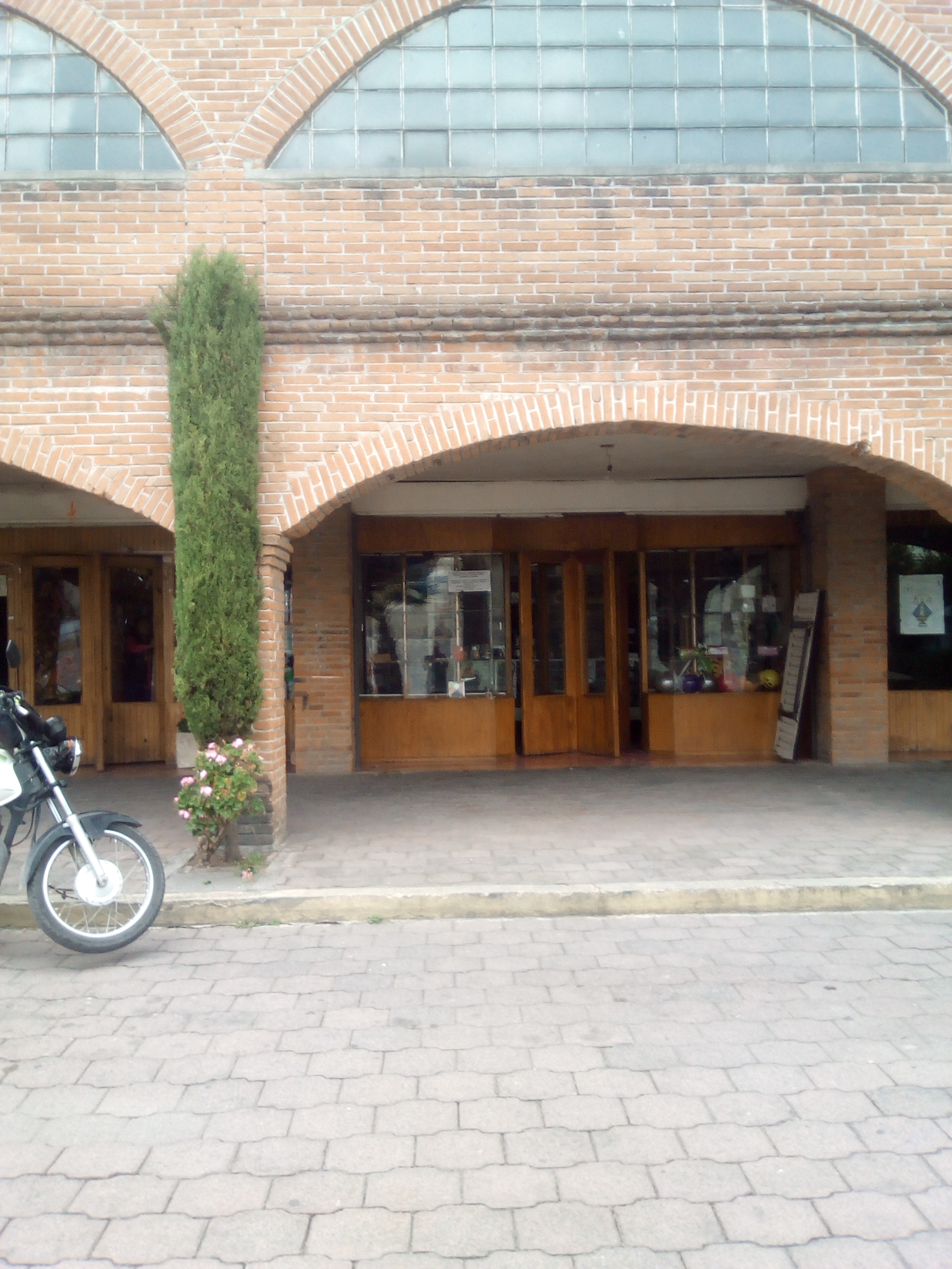 CARNITAS LAURO image 9