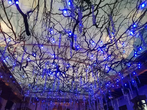 Casa Azul image 5