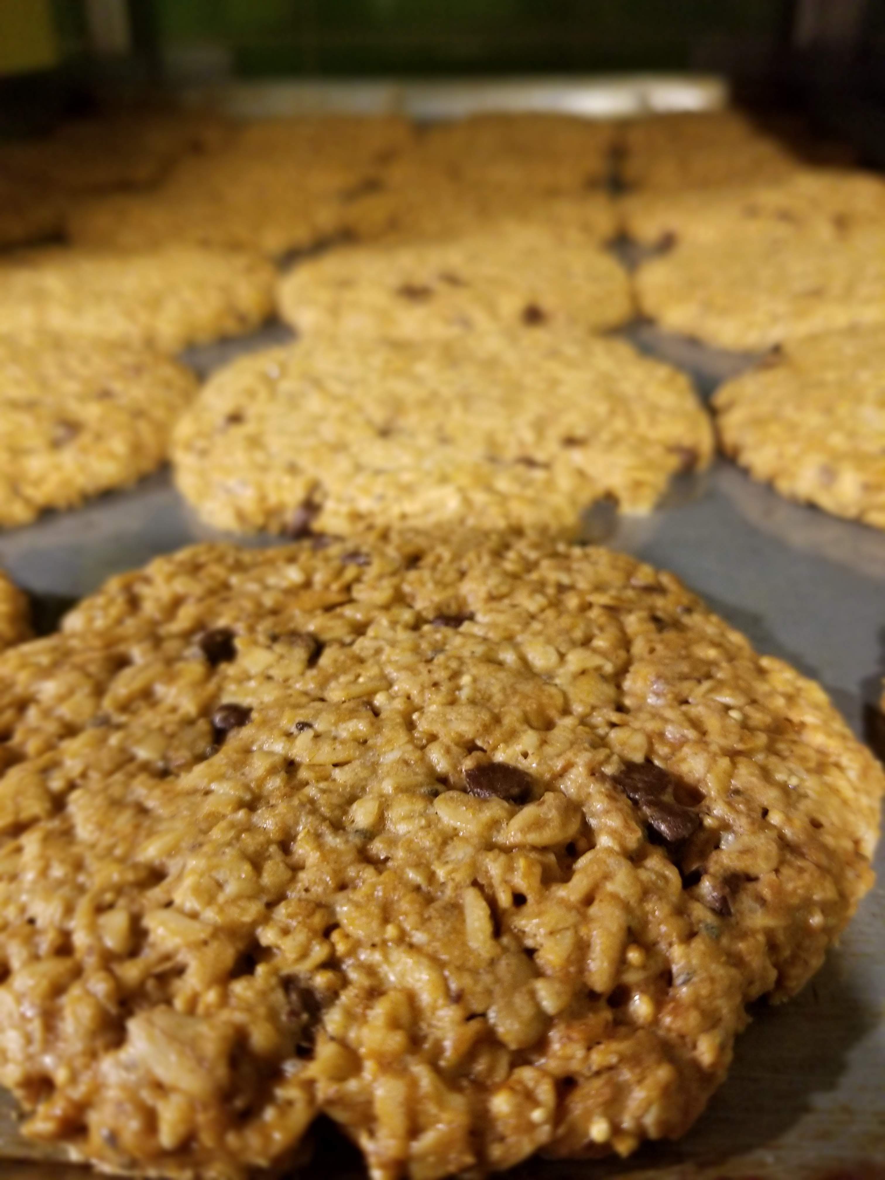 Jugolandia Adan Jr. image 3