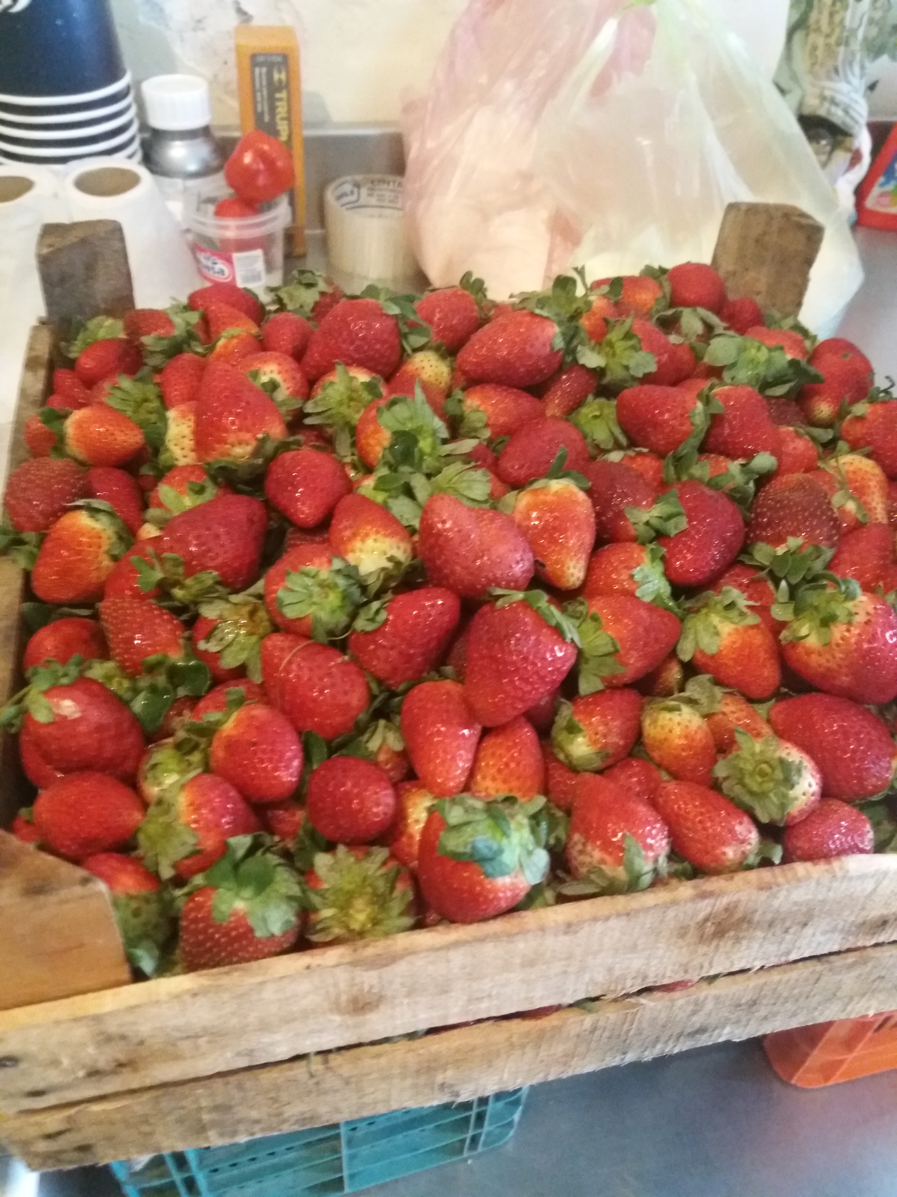 Jugolandia Adan Jr. image 5