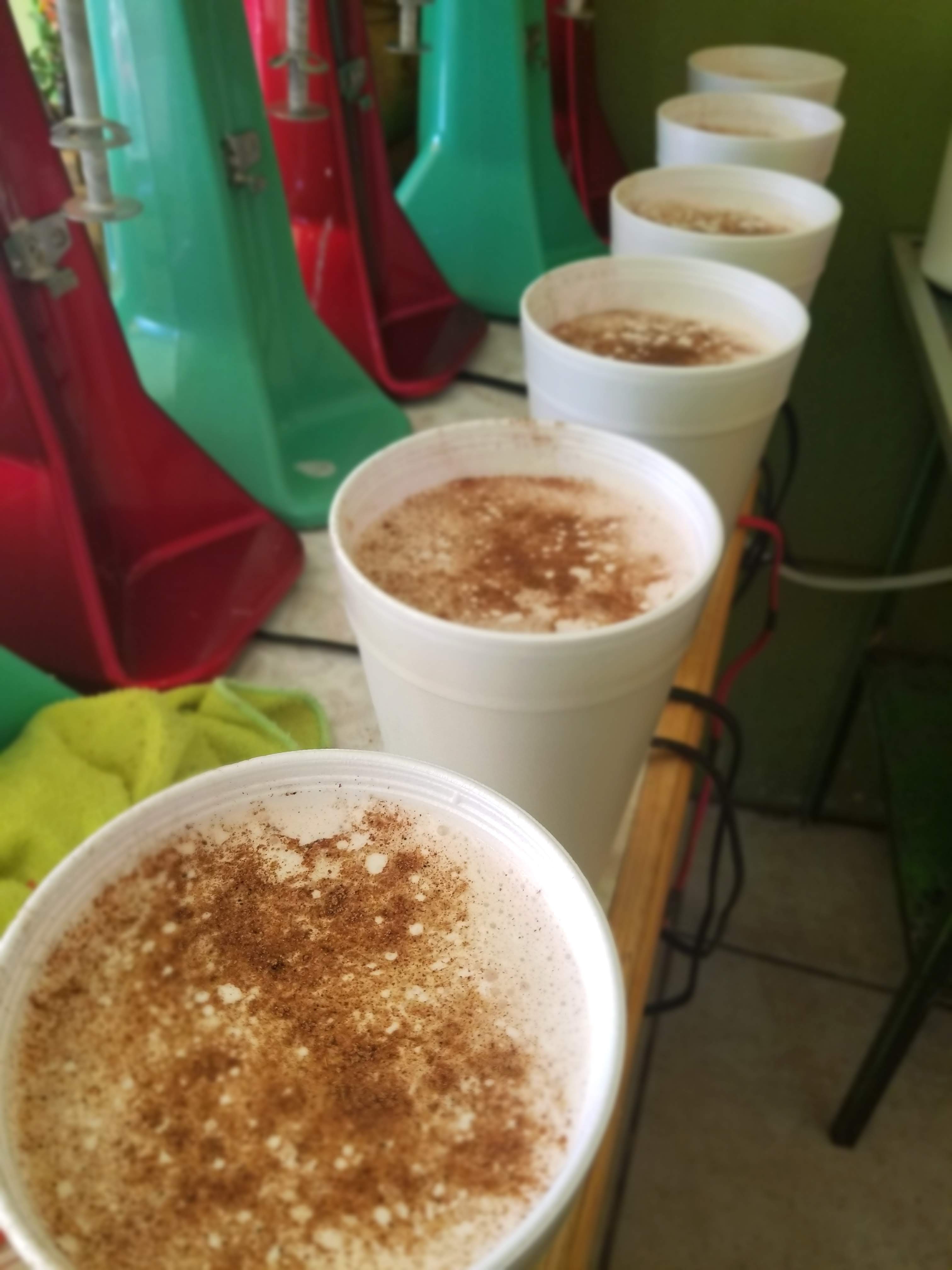 Jugolandia Adan Jr. image 9