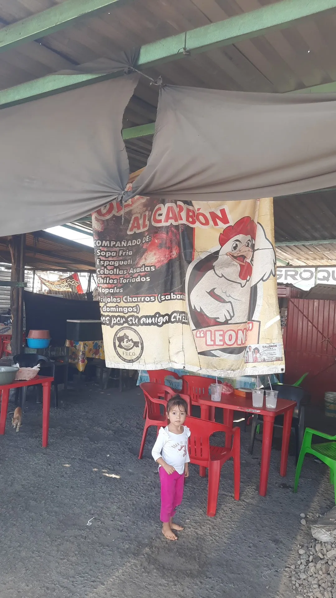 Pollos asados al carbón "LEONEL" image 4