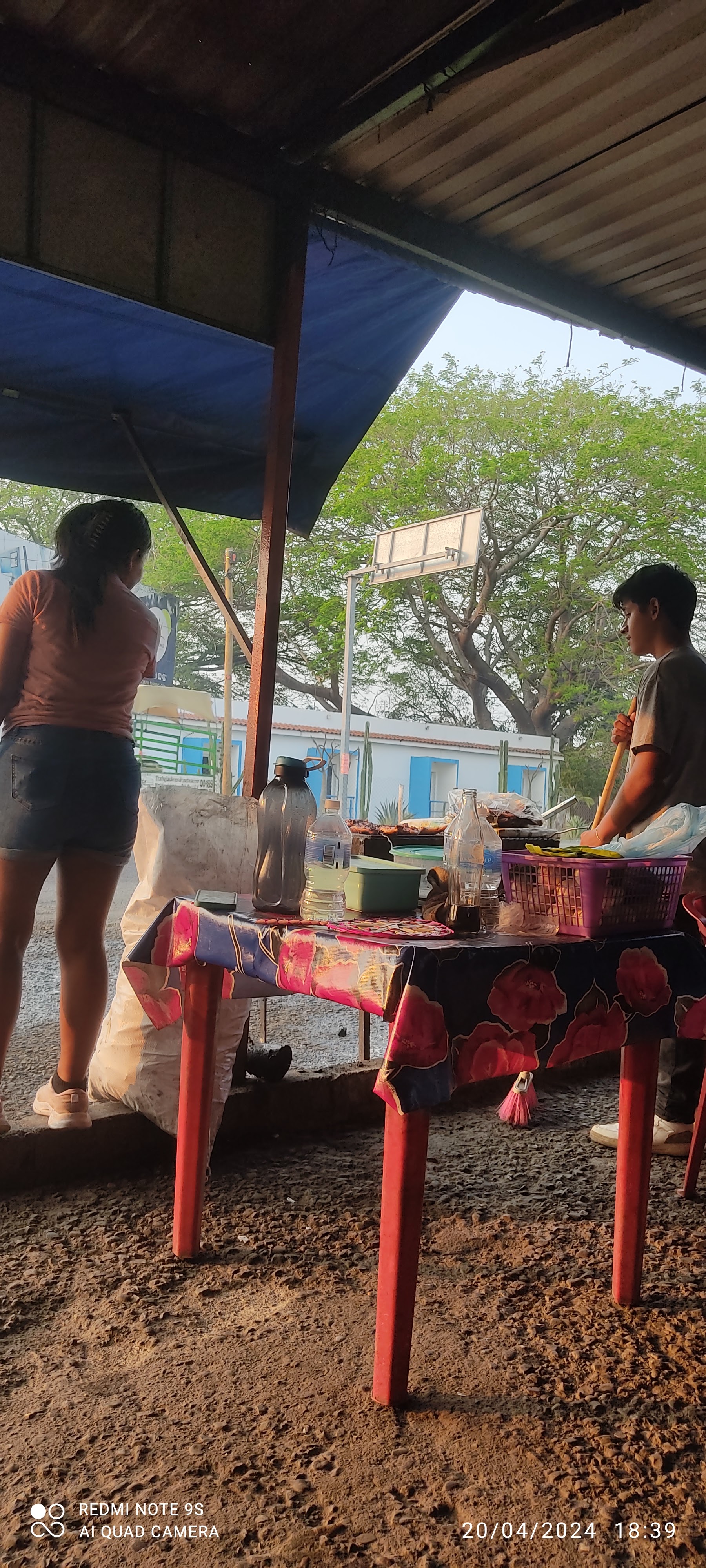 Pollos asados al carbón "LEONEL" image 5