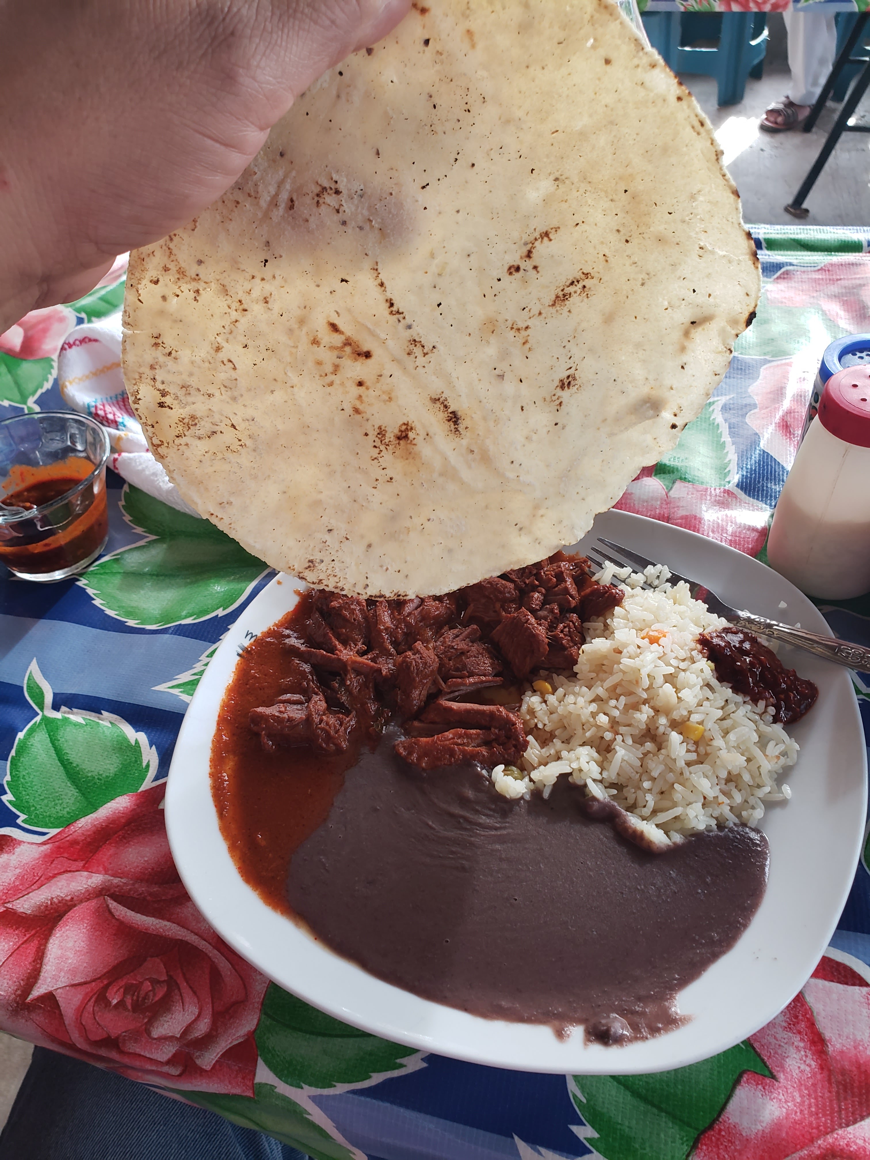 Comedor "Rosy" image 3