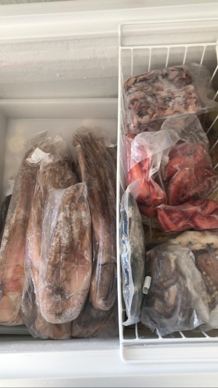 PESCADERIA "EL MUELLE" image 10