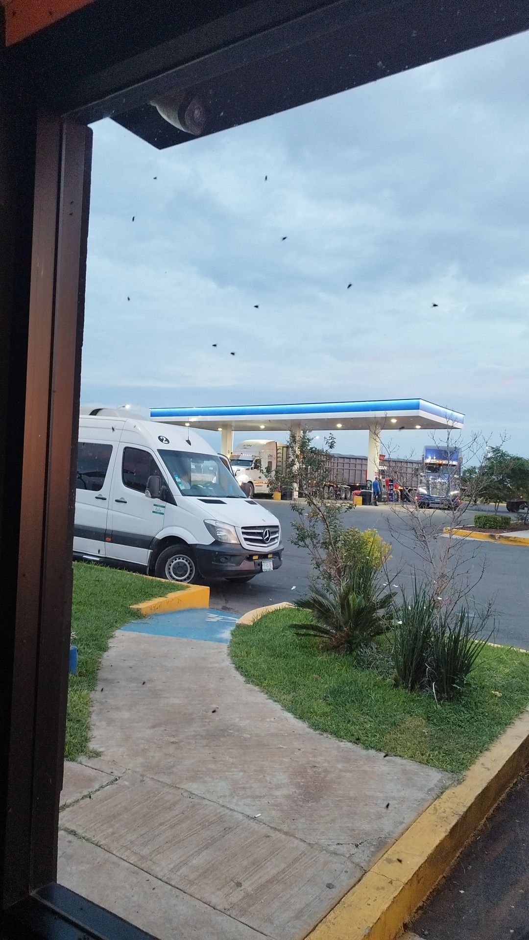 Cuarto de Kilo Acatic image 6