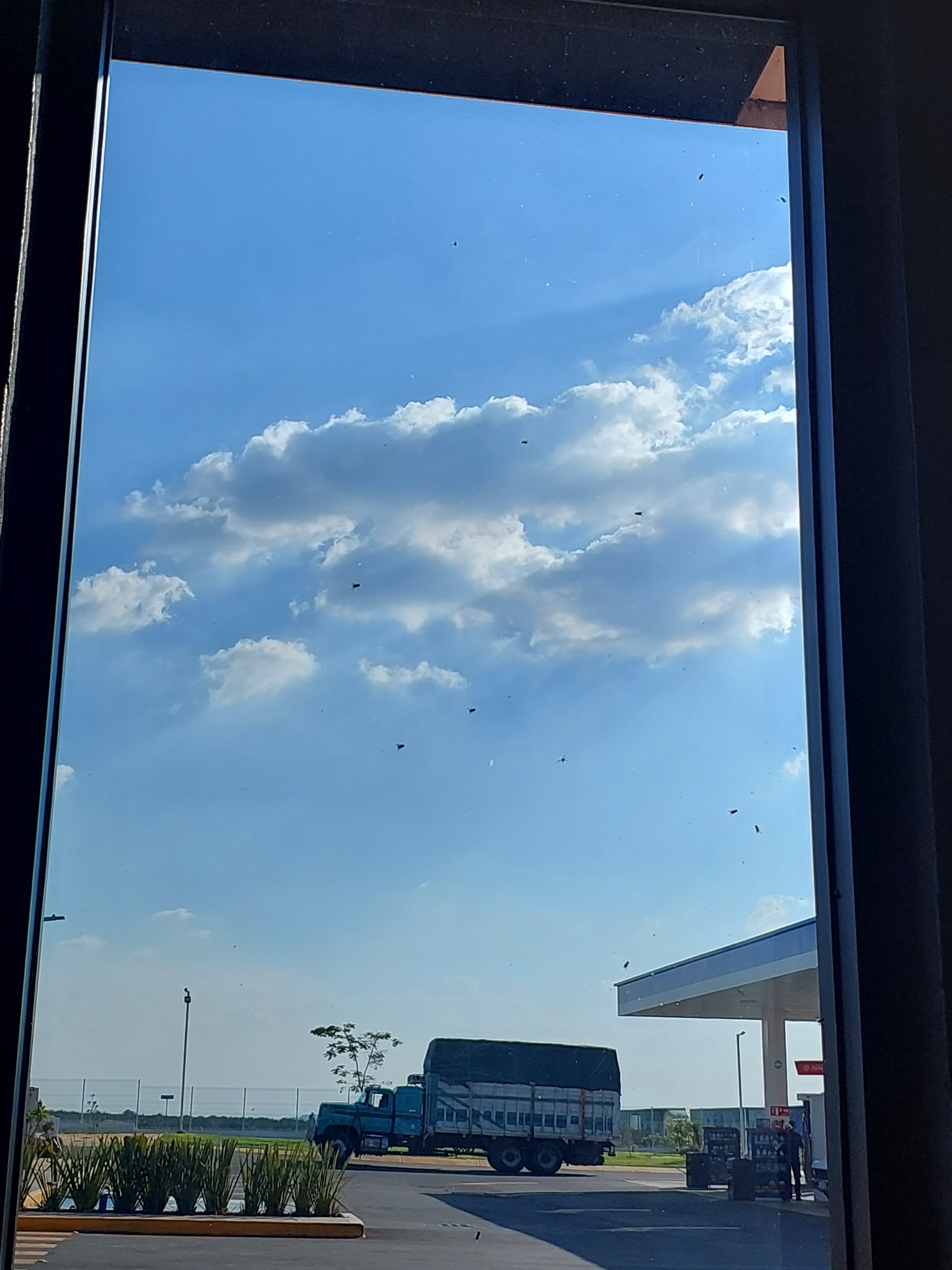 Cuarto de Kilo Acatic image 7