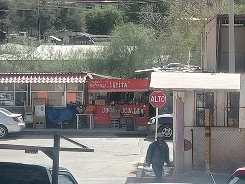 Rosticeria bony image 1