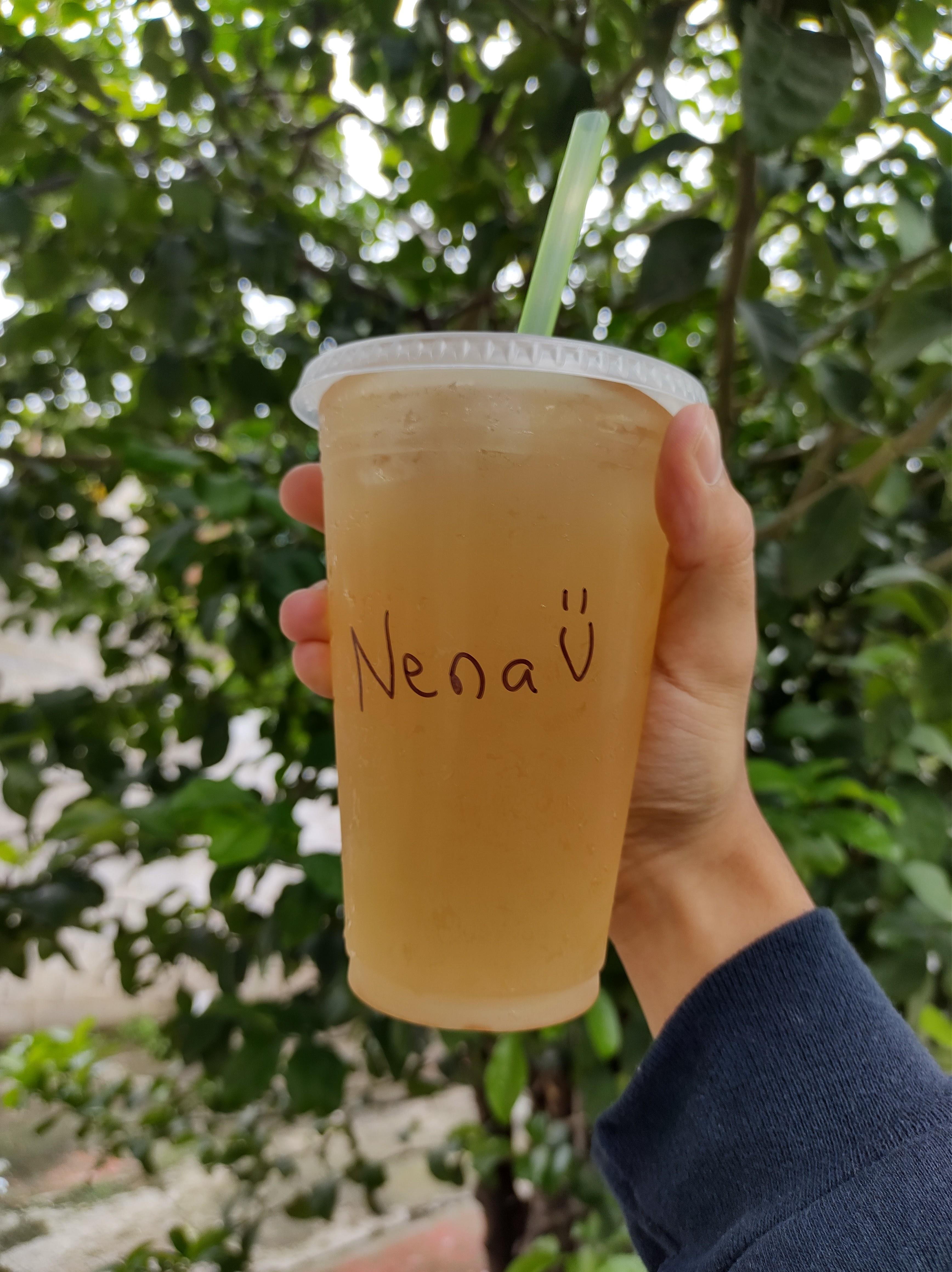 Licuados locos Club nutricional Herbalife image 3