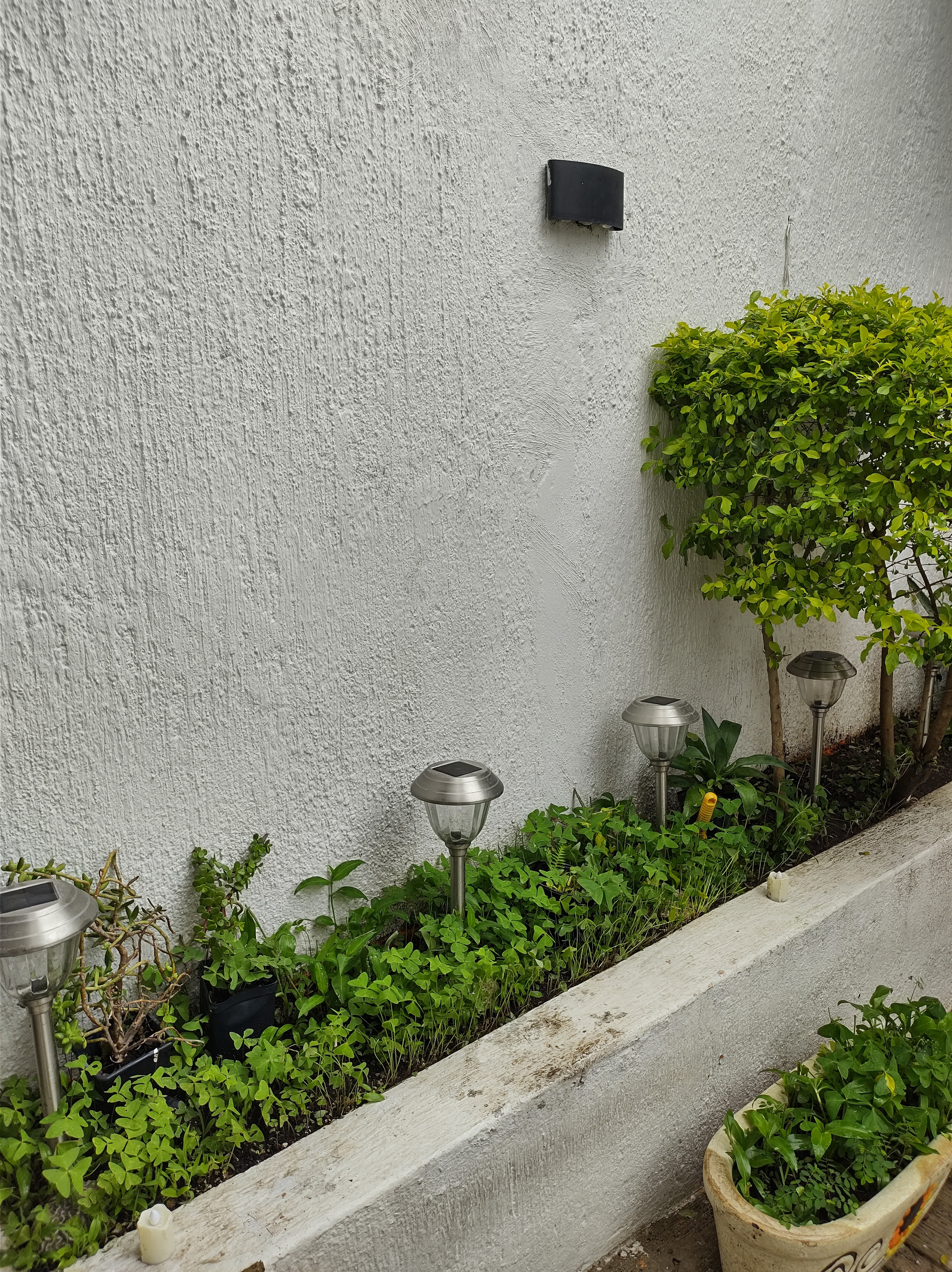 Licuados locos Club nutricional Herbalife image 8