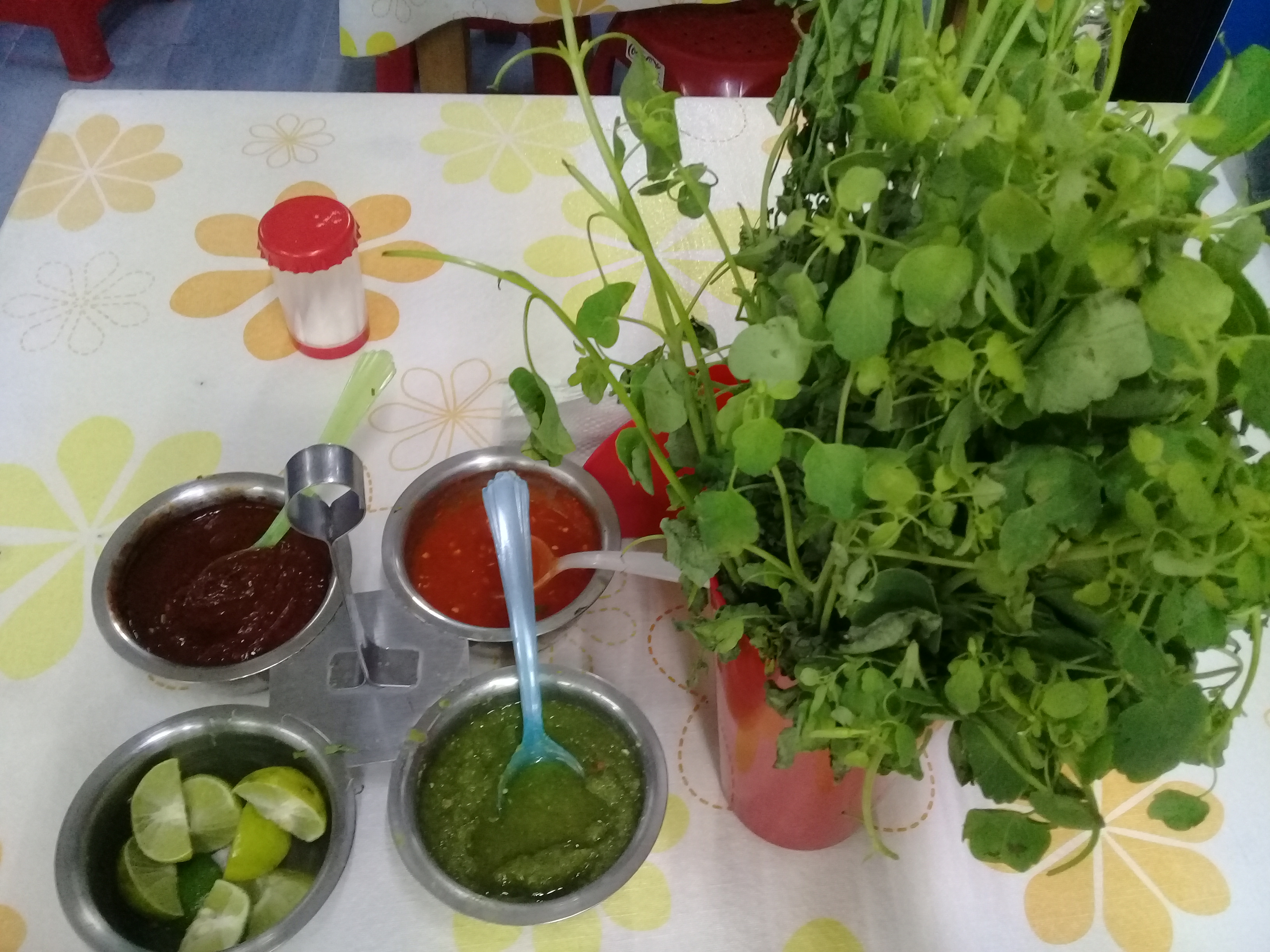 Carnitas y taqueria El Gallo Racing image 7