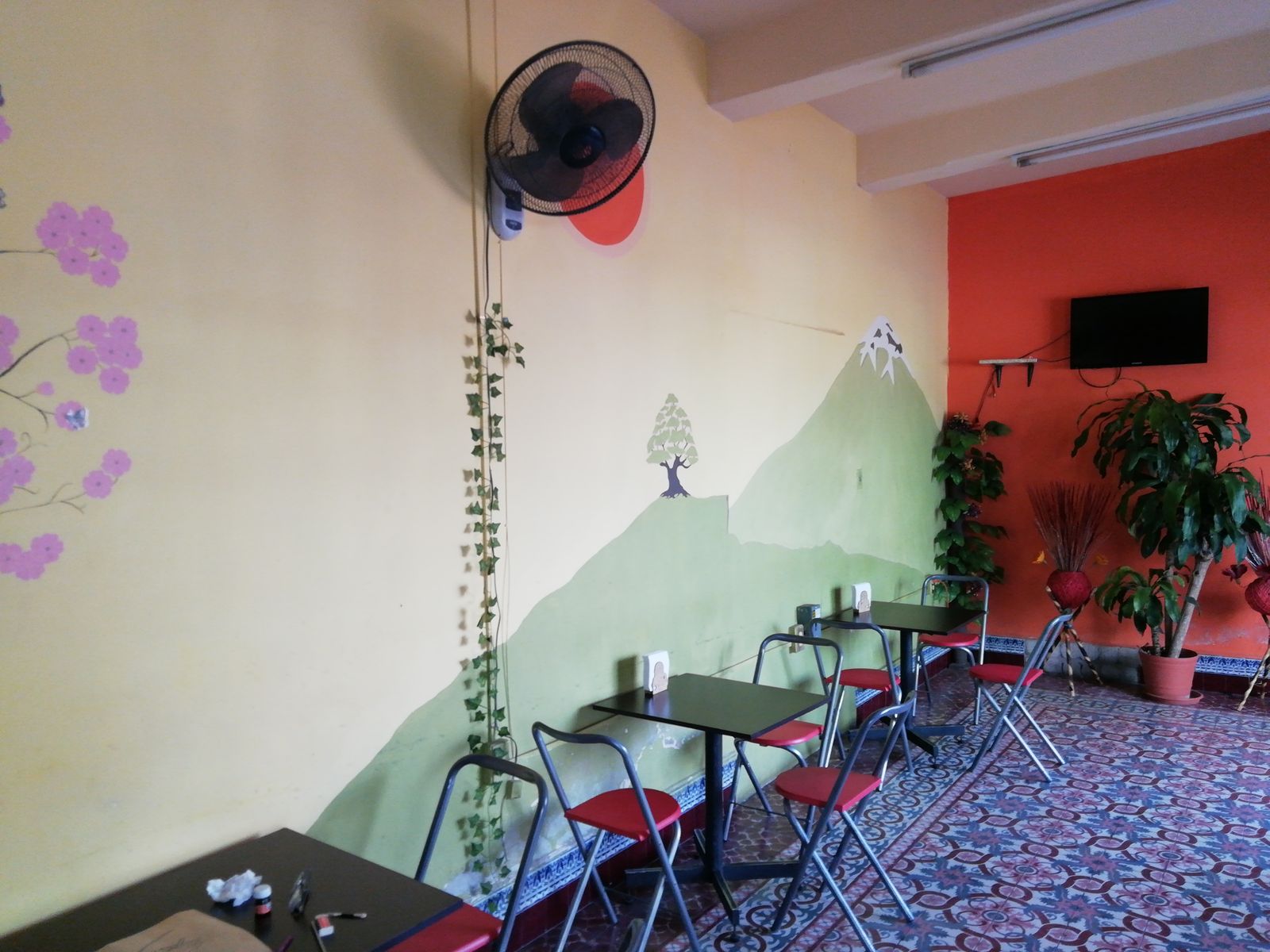 Sushi TK comida japonesa image 3