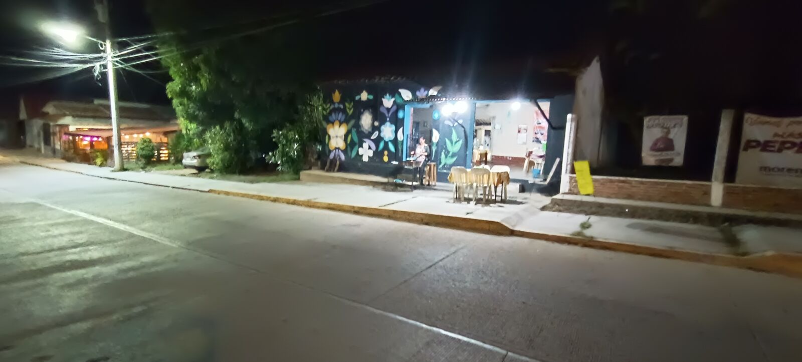 TAQUERÍA "LA CASA DE LAS FLORES" image 5