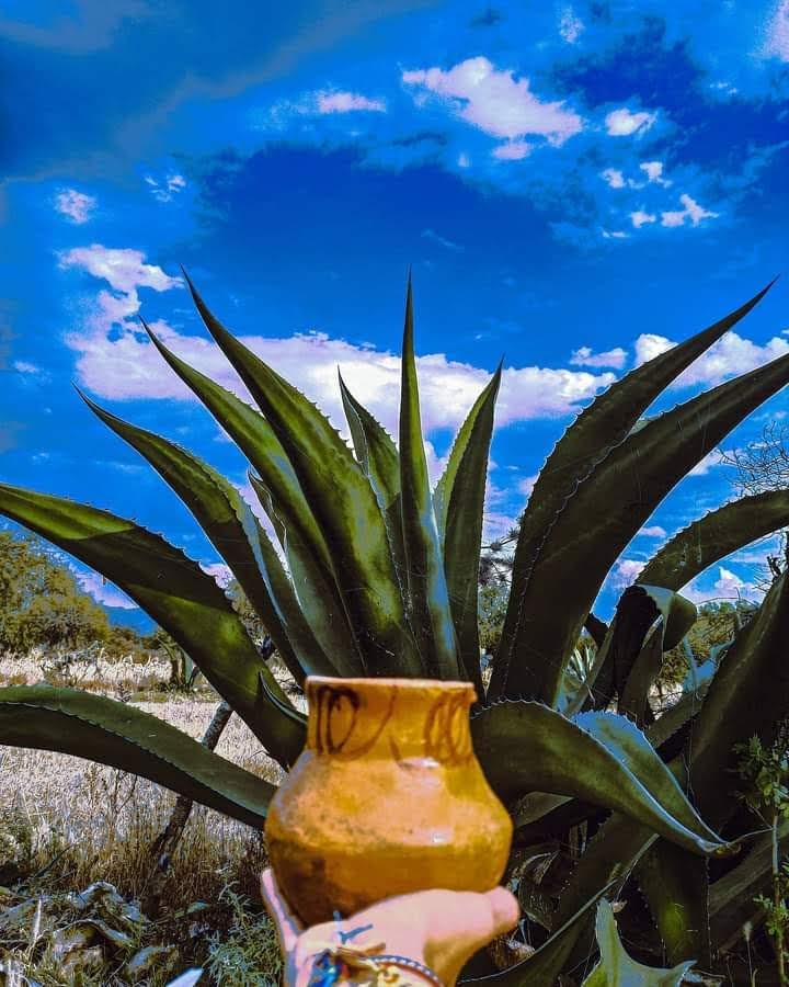 BARBACOA DON RAFA image 3