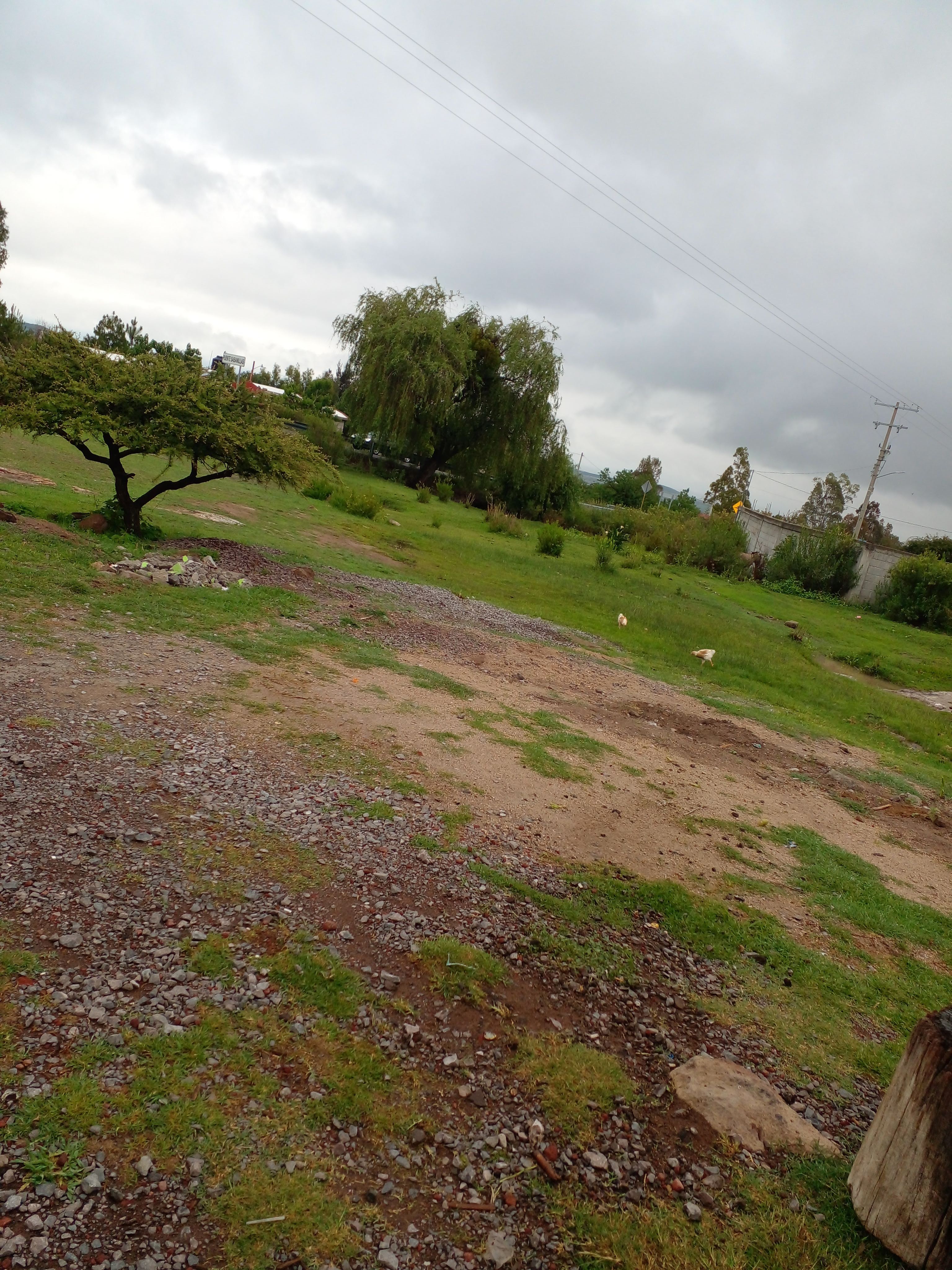 BARBACOA DON RAFA image 4