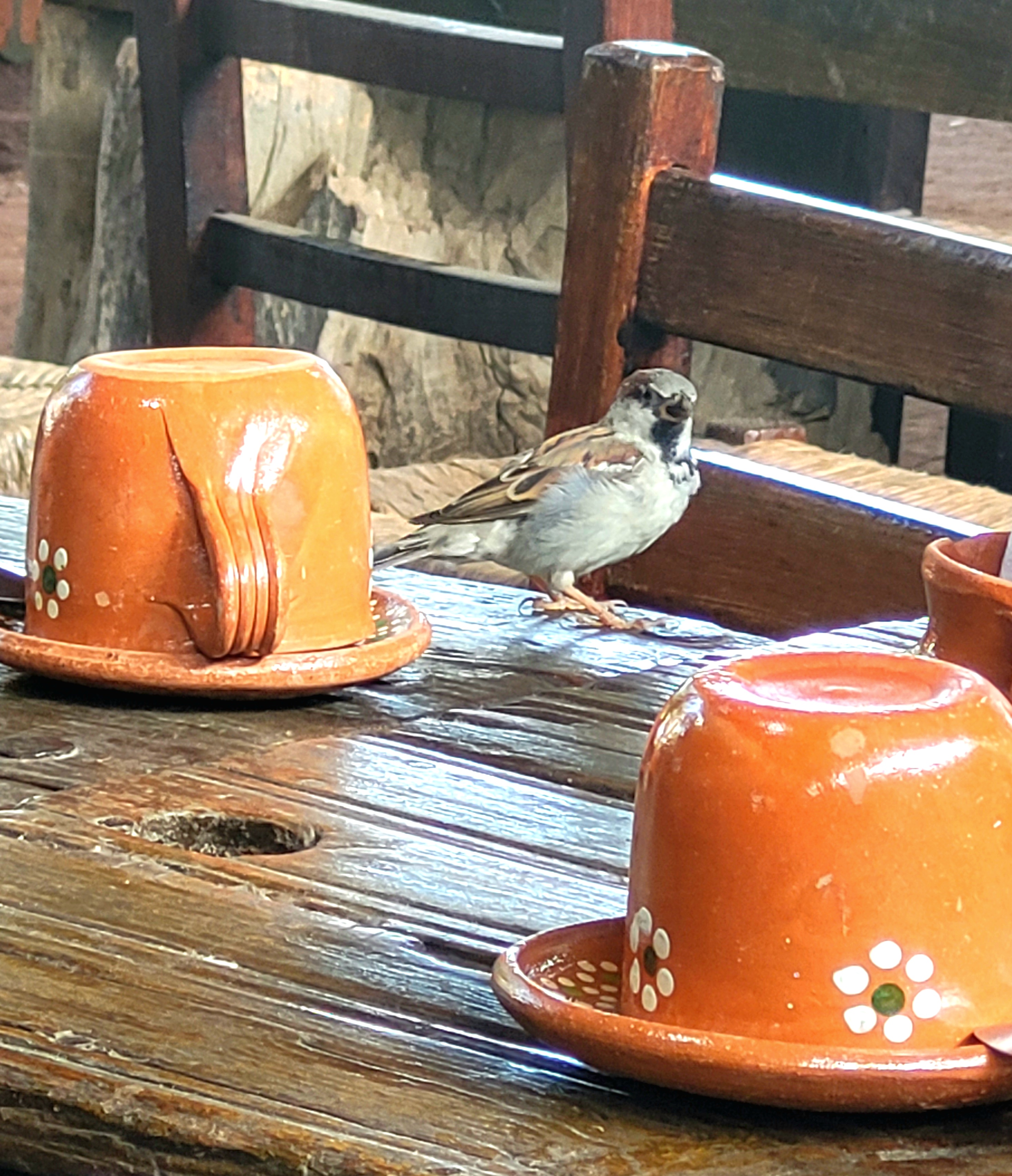 El Mesón de Colombo image 2